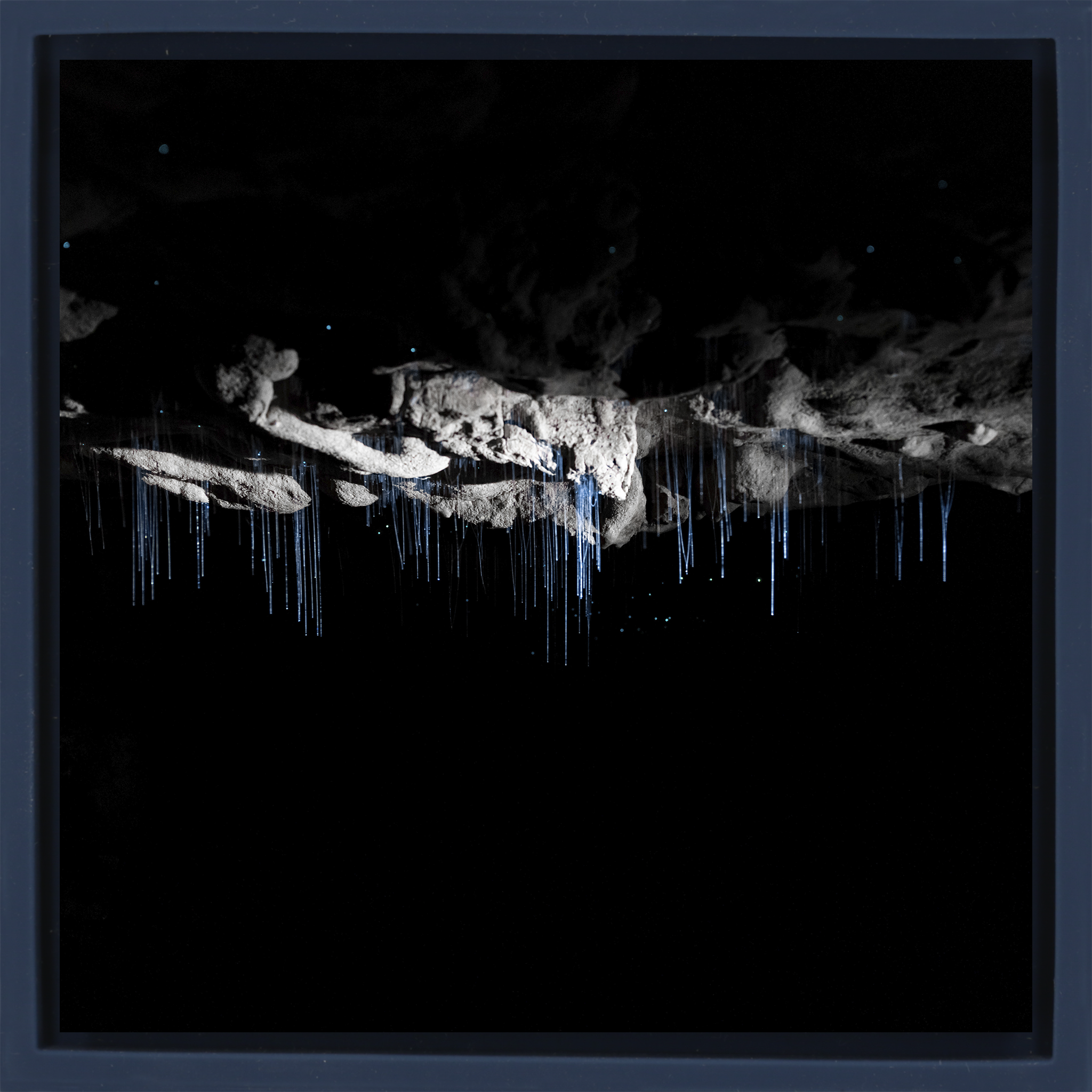 Where Darkness Glows- Dark Blue Wrapp