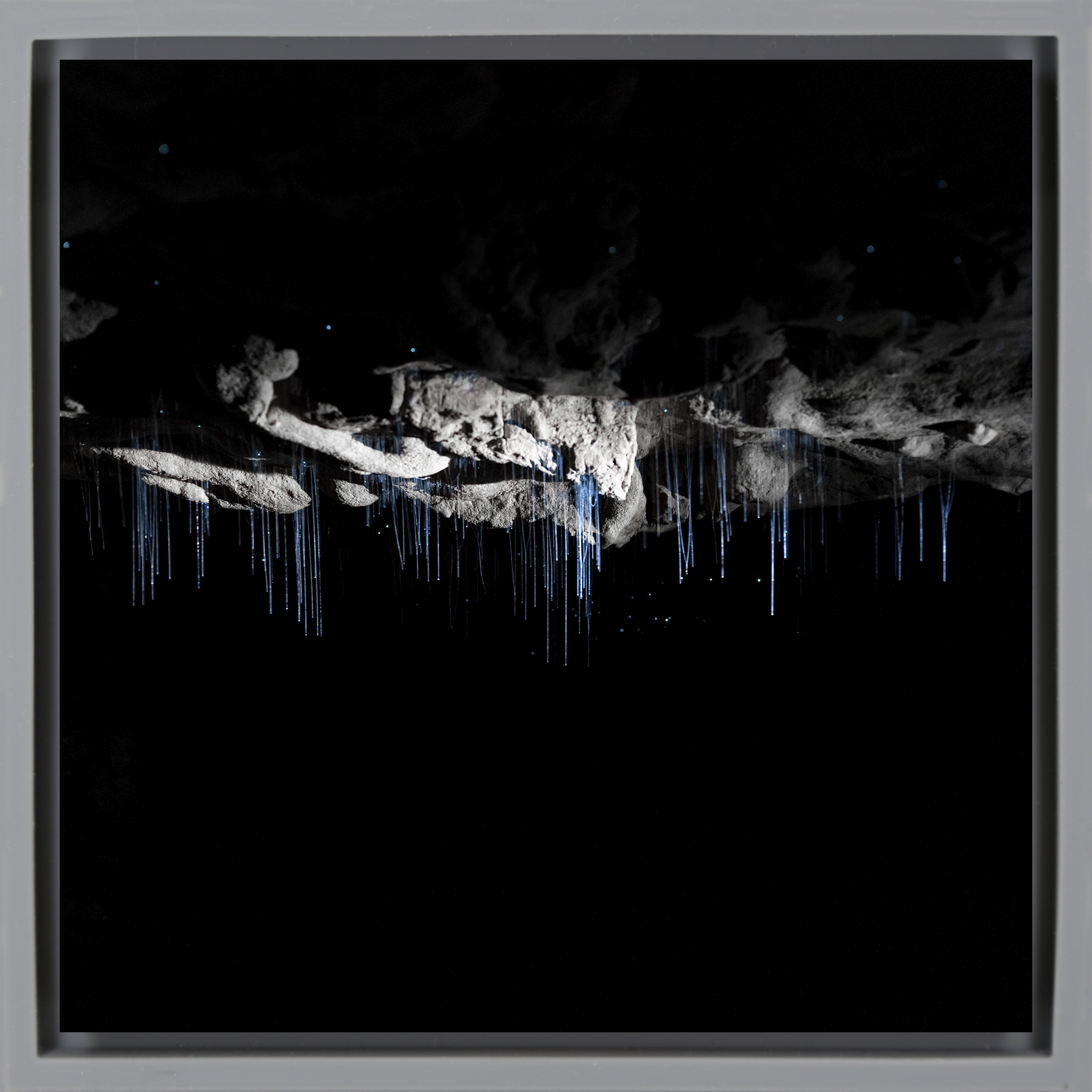 Where Darkness Glows- Grey Wrapp