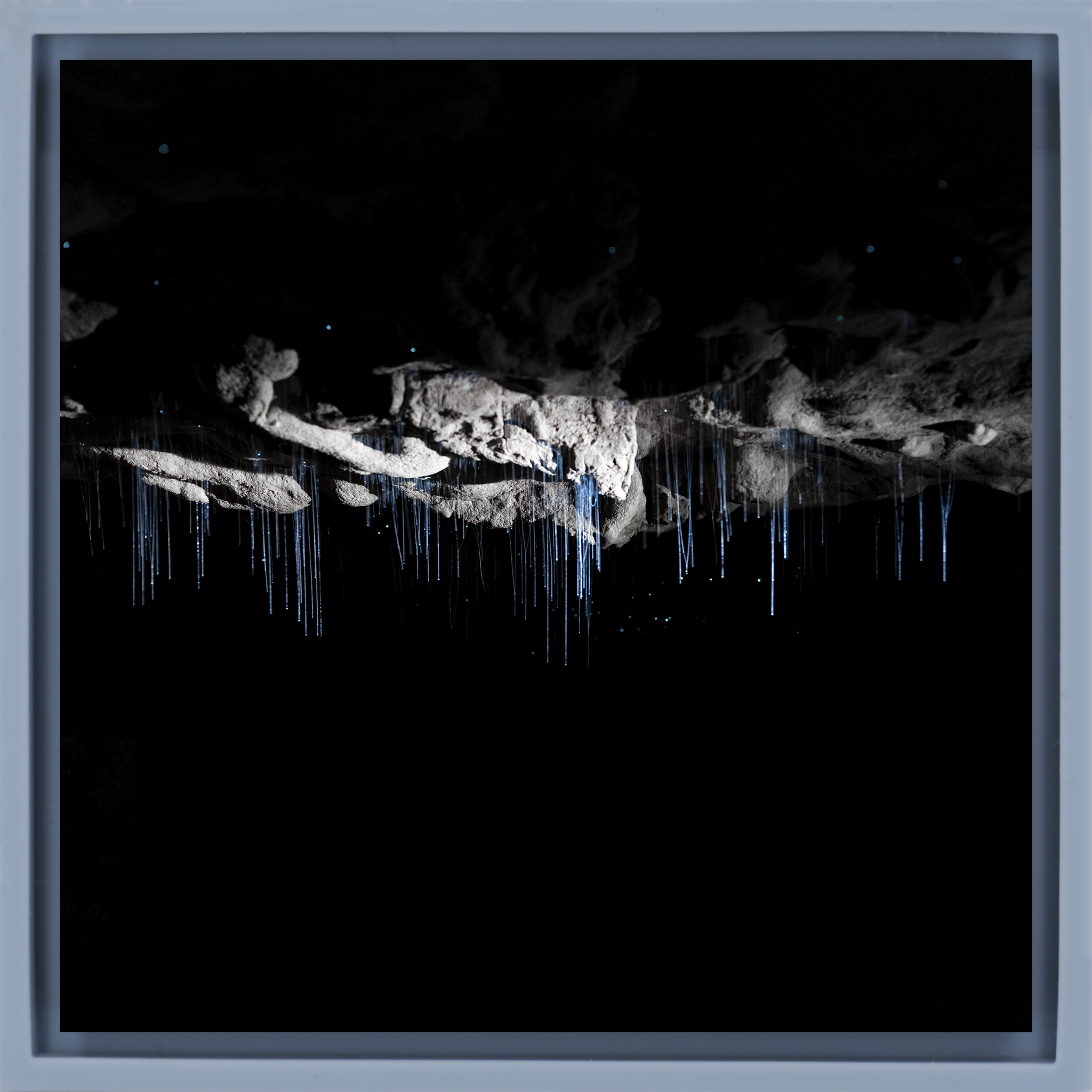 Where Darkness Glows- Light Blue Wrapp