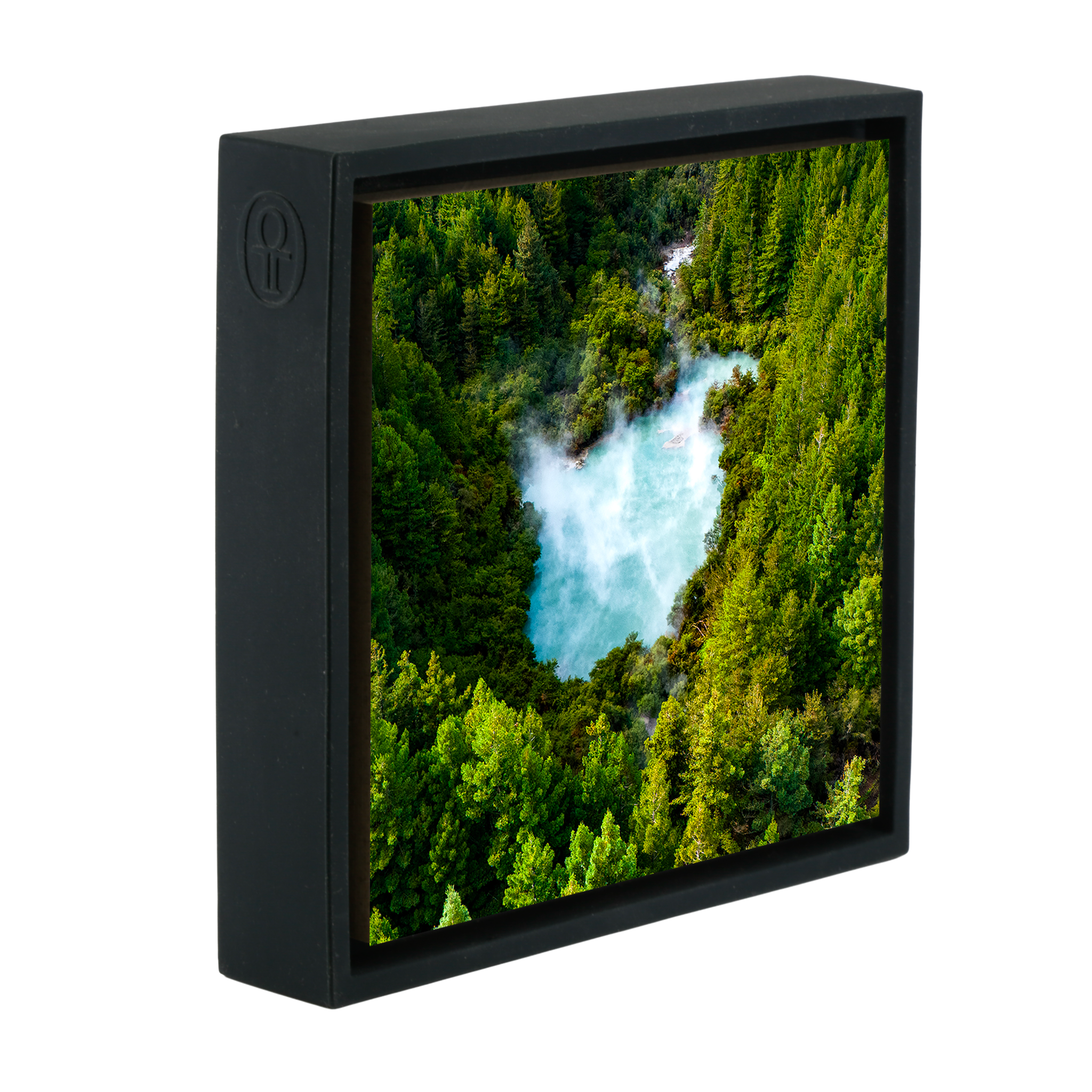 The Heart of the Forest- Black Wrapp