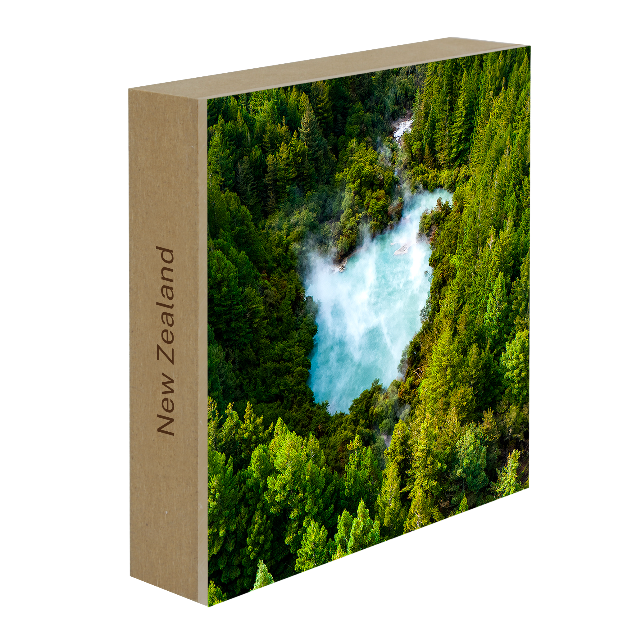 The Heart of the Forest- Collection: New Zealand
