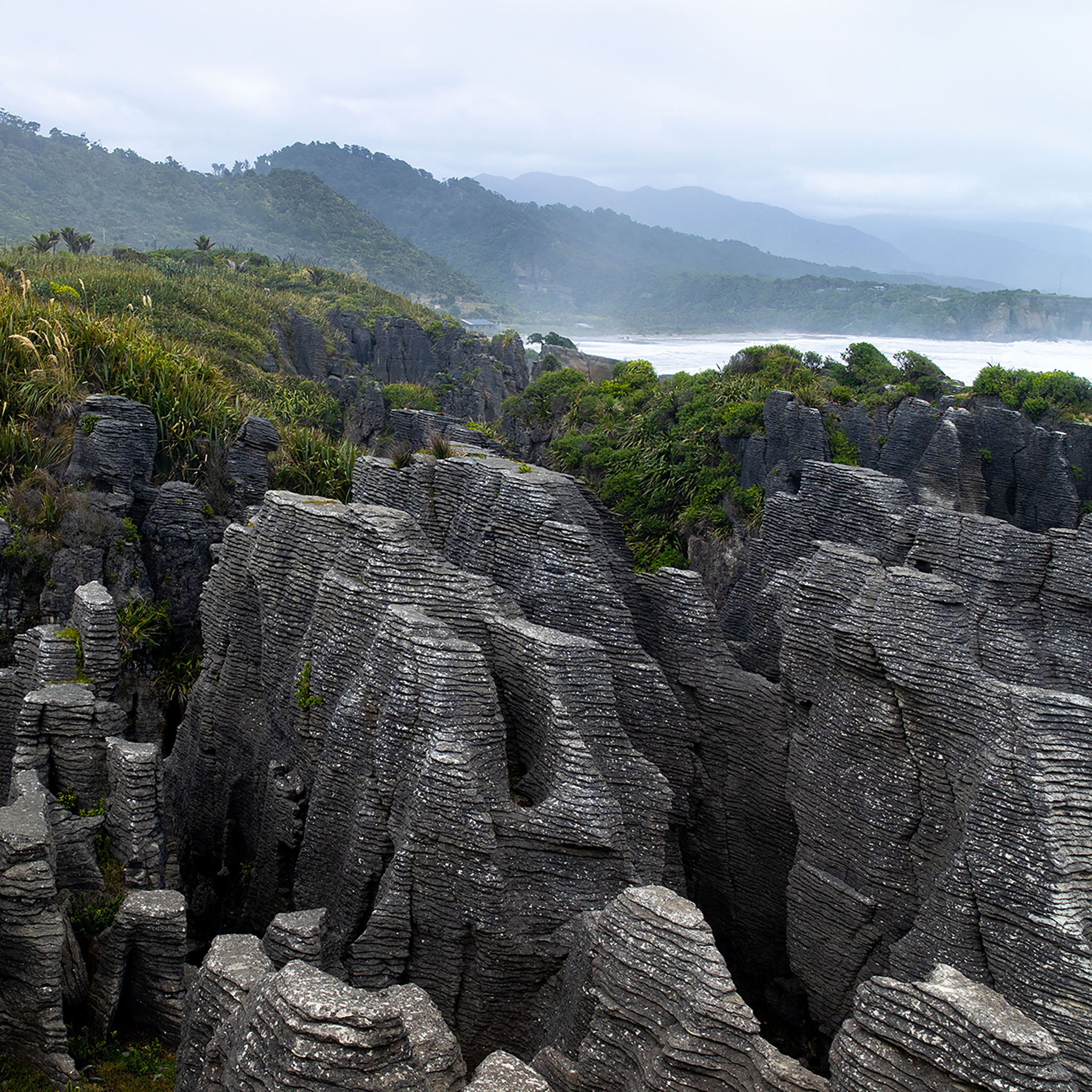 Punakaiki- Collection: New Zealand