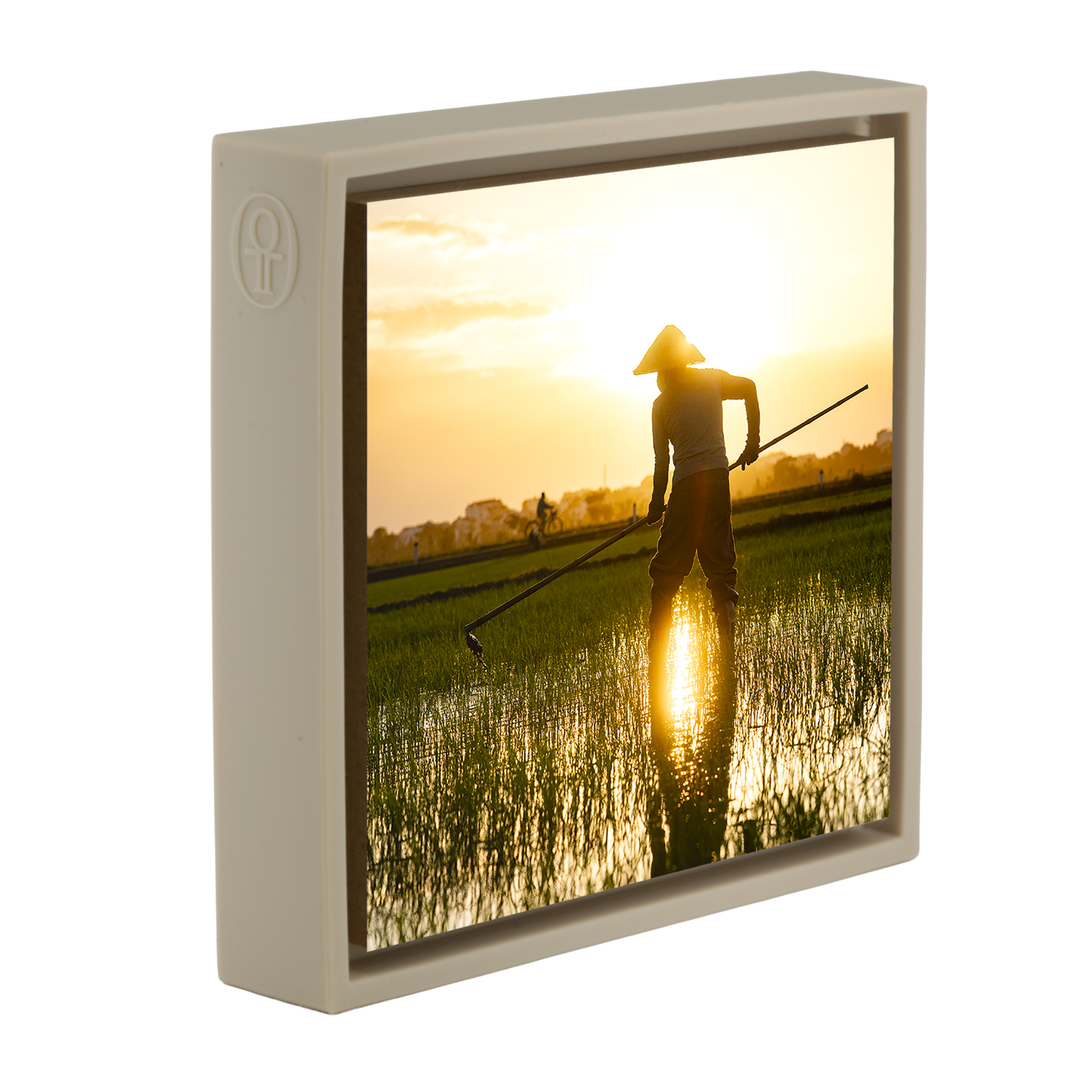 The Rice Farmer- Sand Wrapp