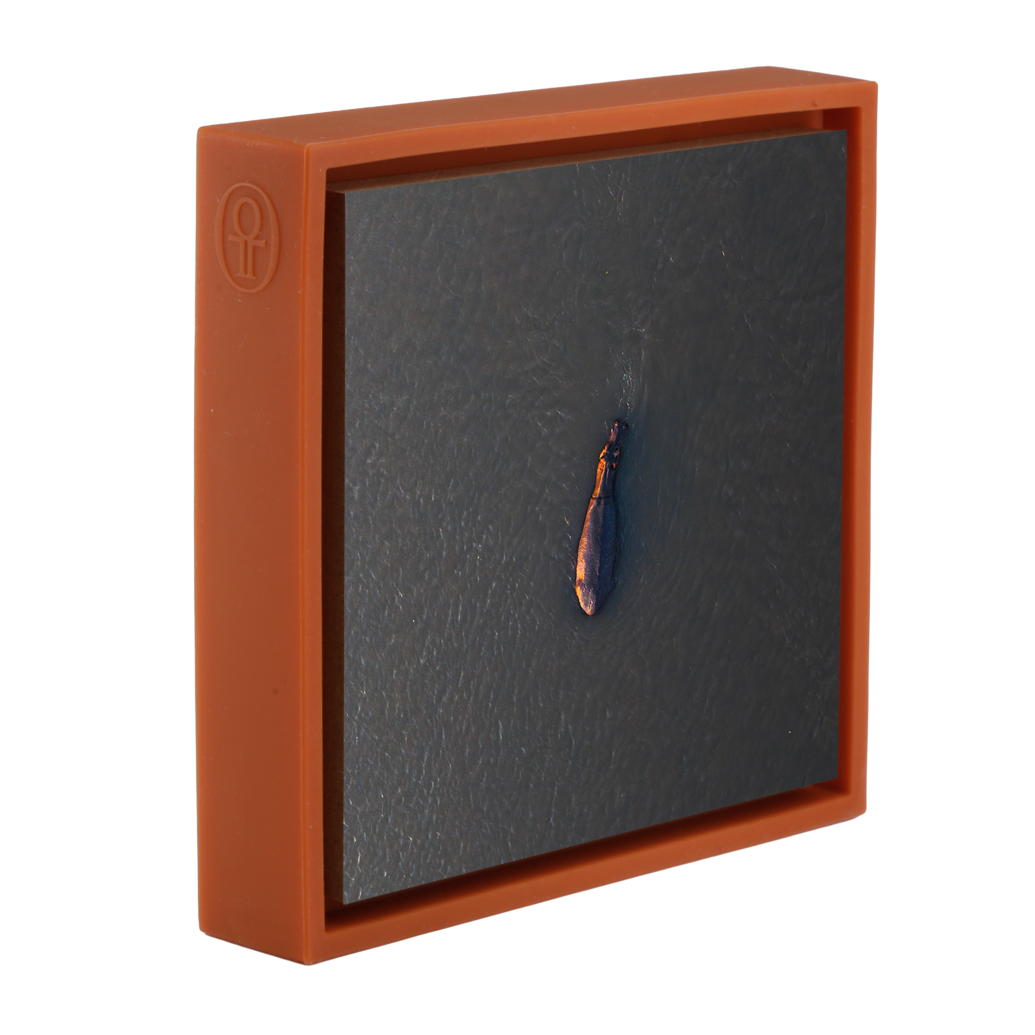 River Giant- Orange Wrapp