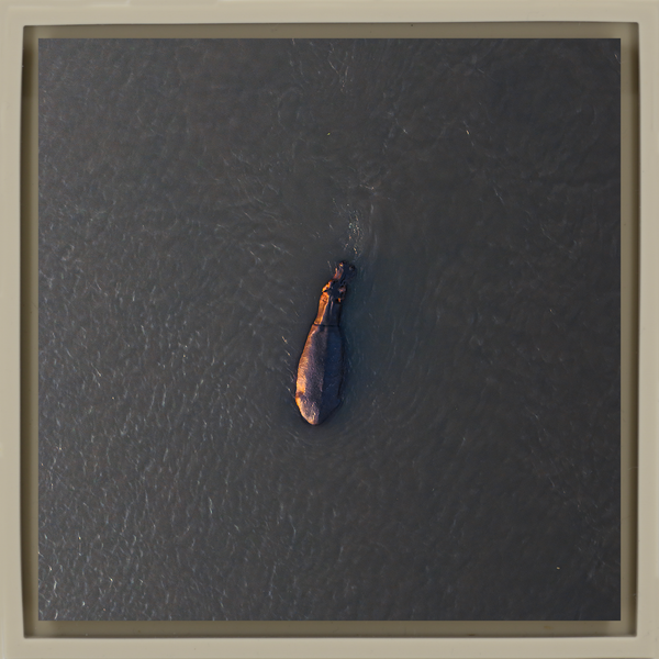 River Giant - Sand Wrapp