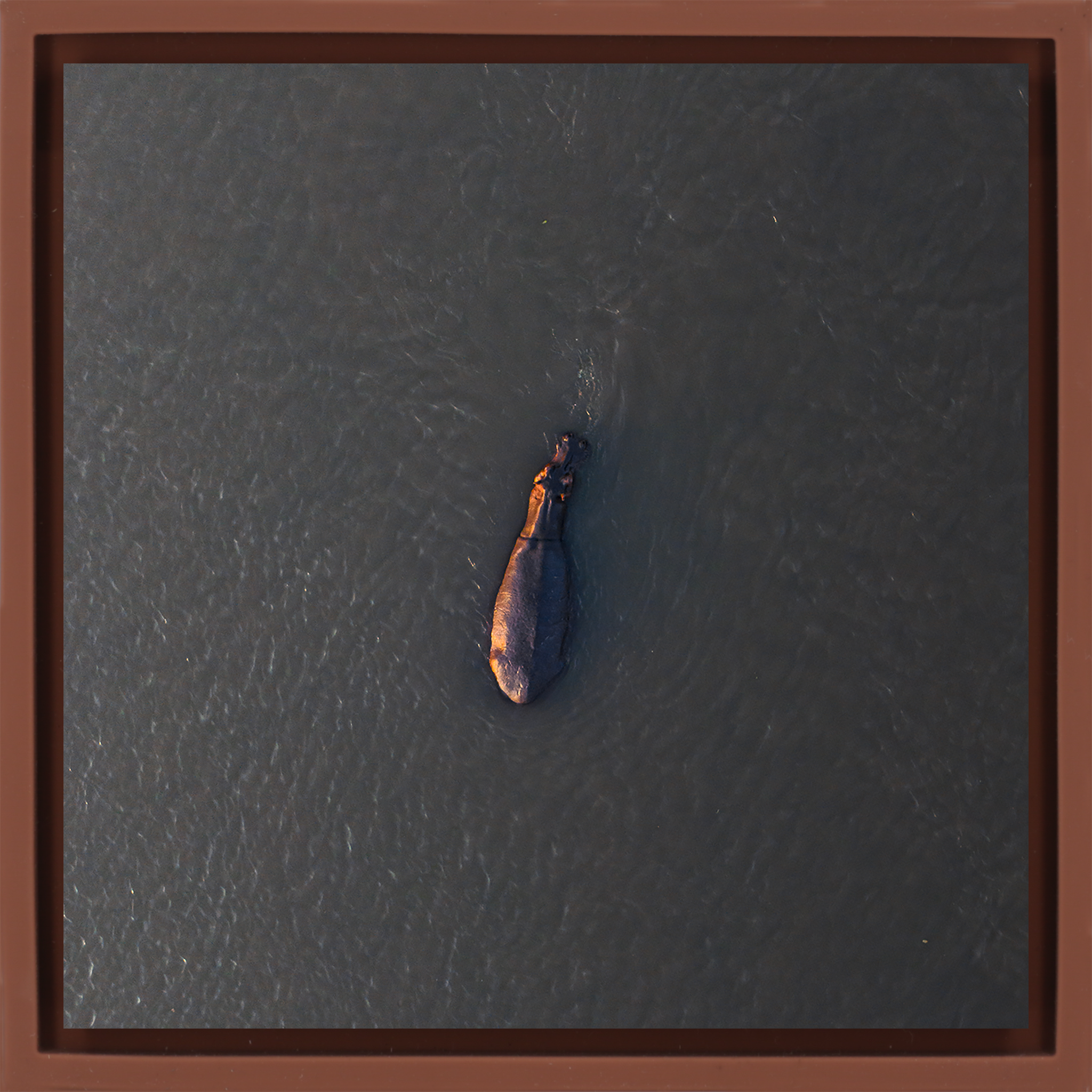 River Giant- Terra Wrapp