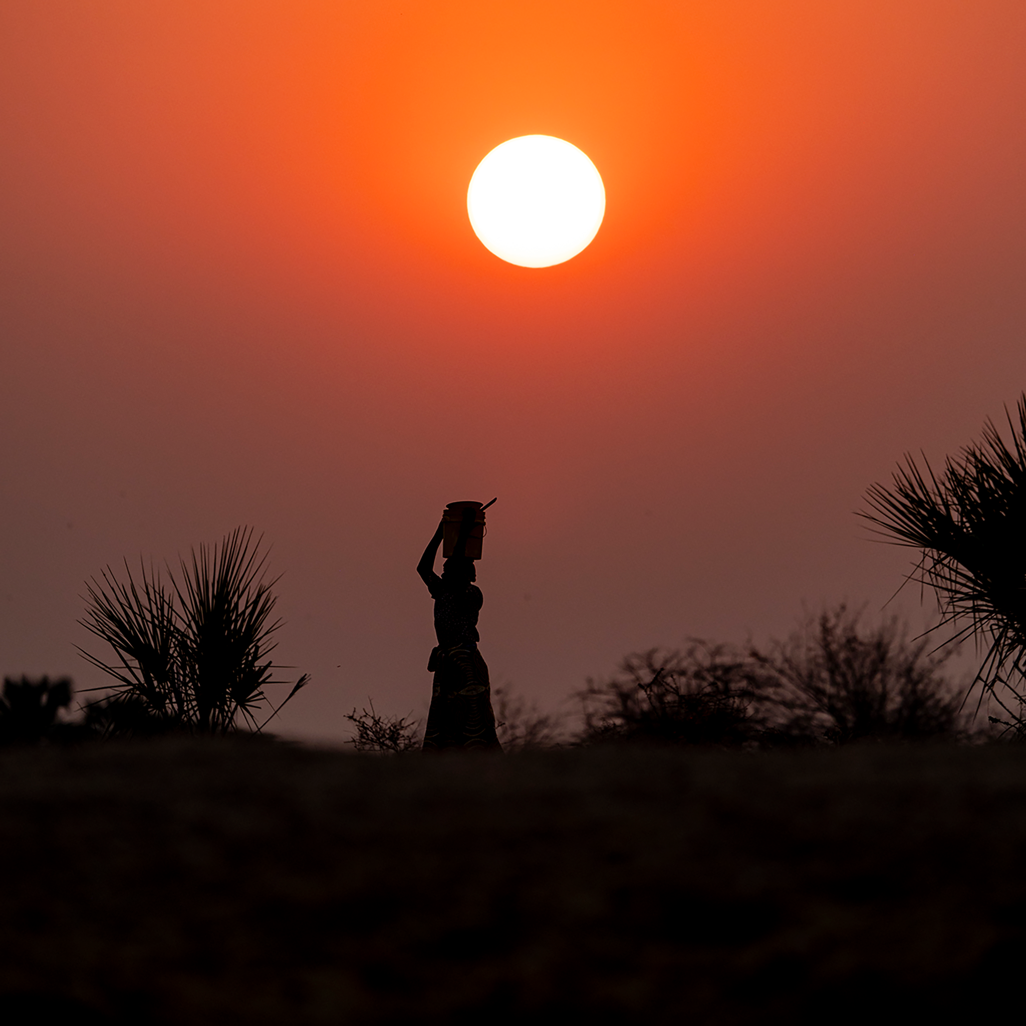 Evening in Zimbabwe- Collection: Zimbabwe