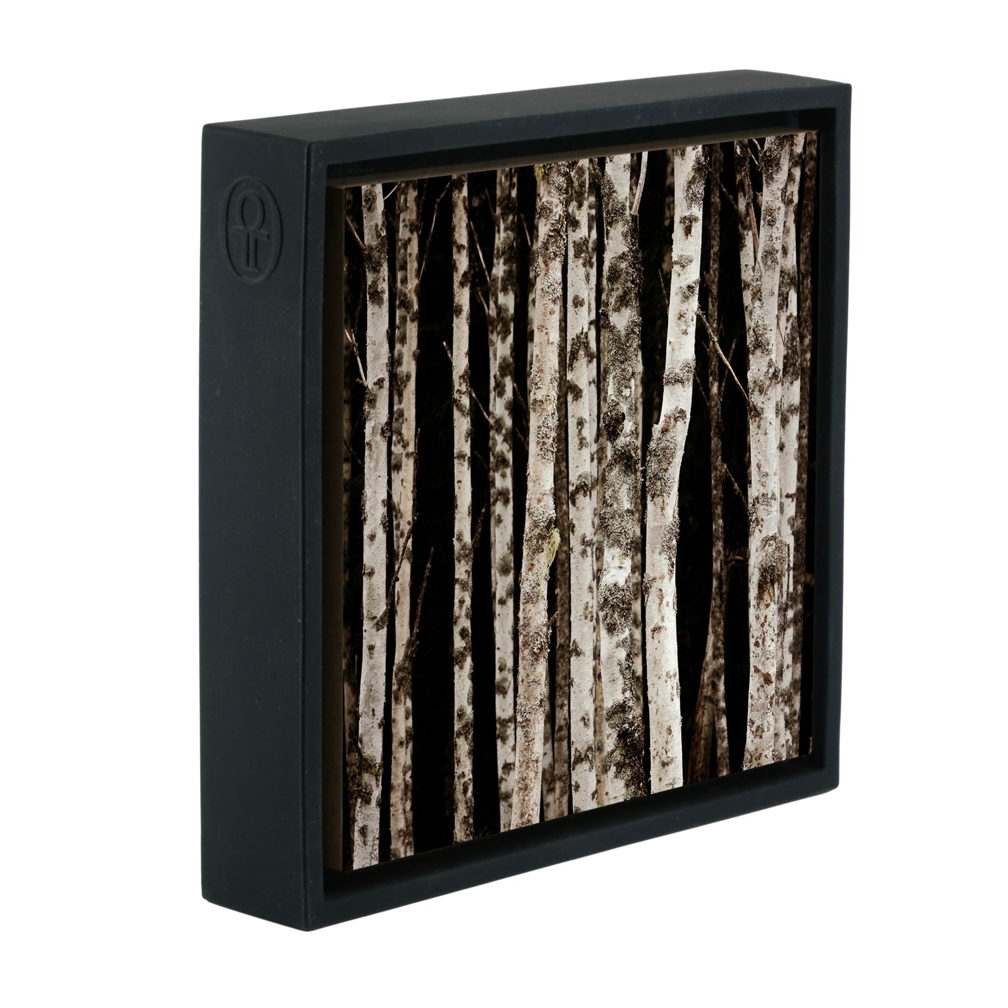 Forrest of the Finns- Black Wrapp