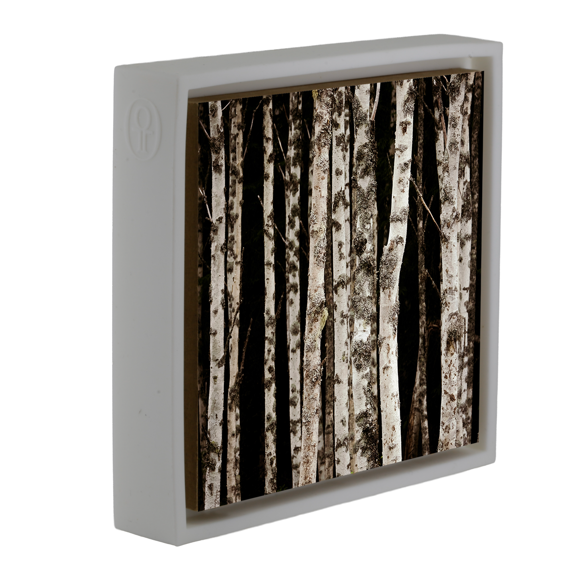 Forrest of the Finns - Witte Wrapp