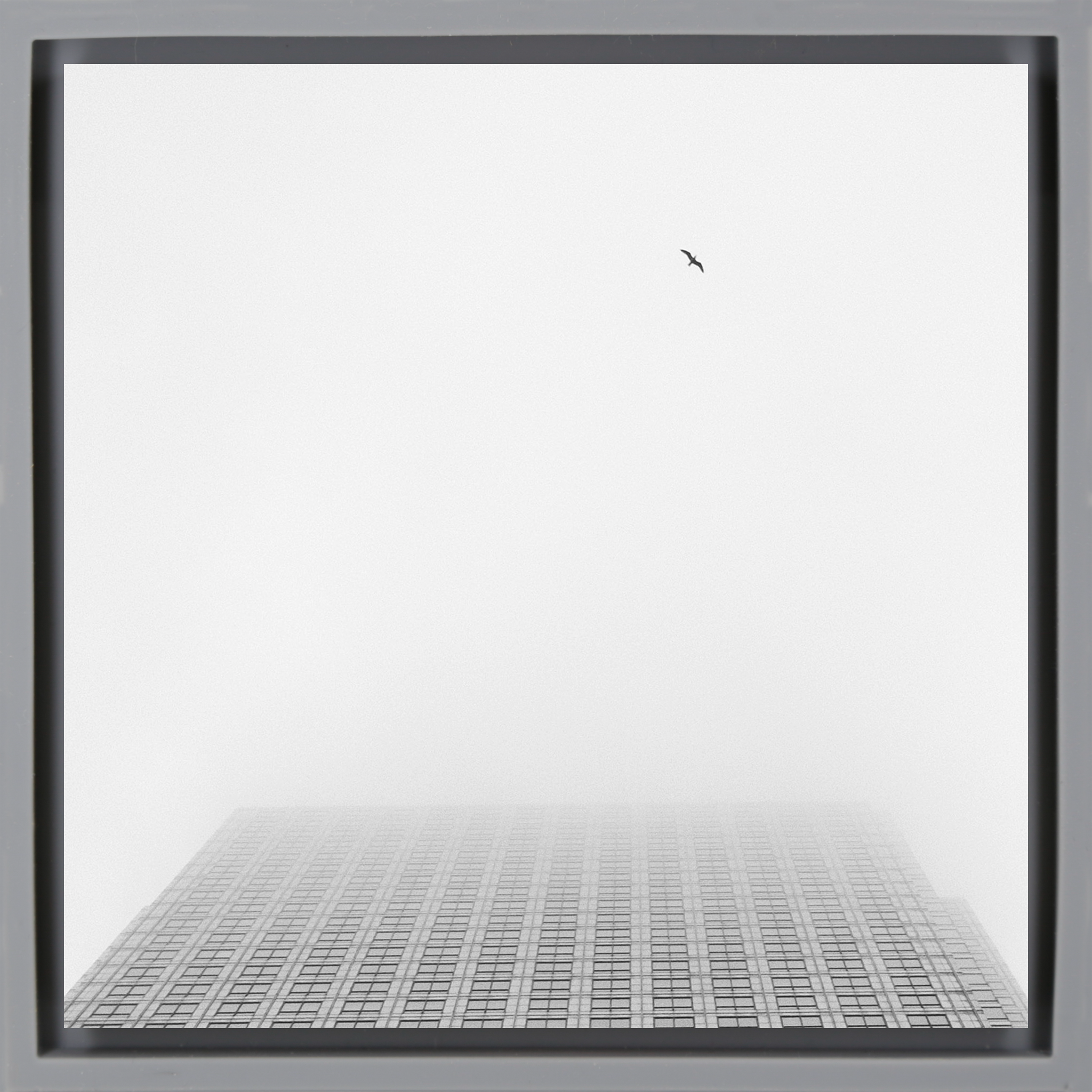 Sky High- Grey Wrapp