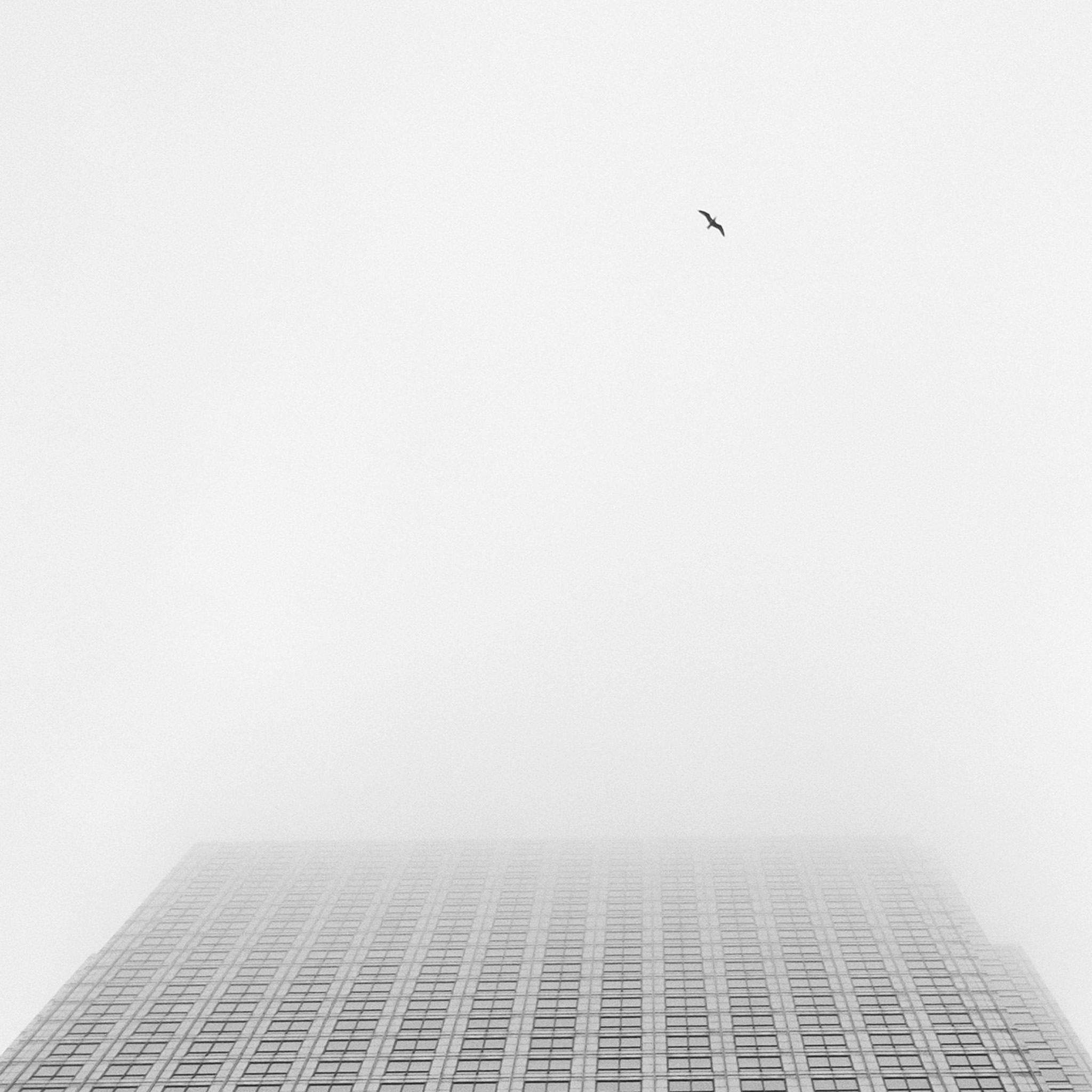 Sky High- Collection: England