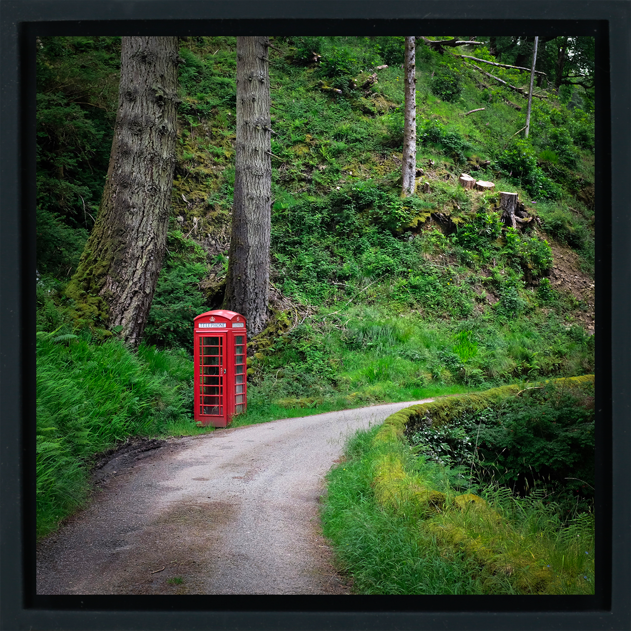 Unexpected Signals- Black Wrapp