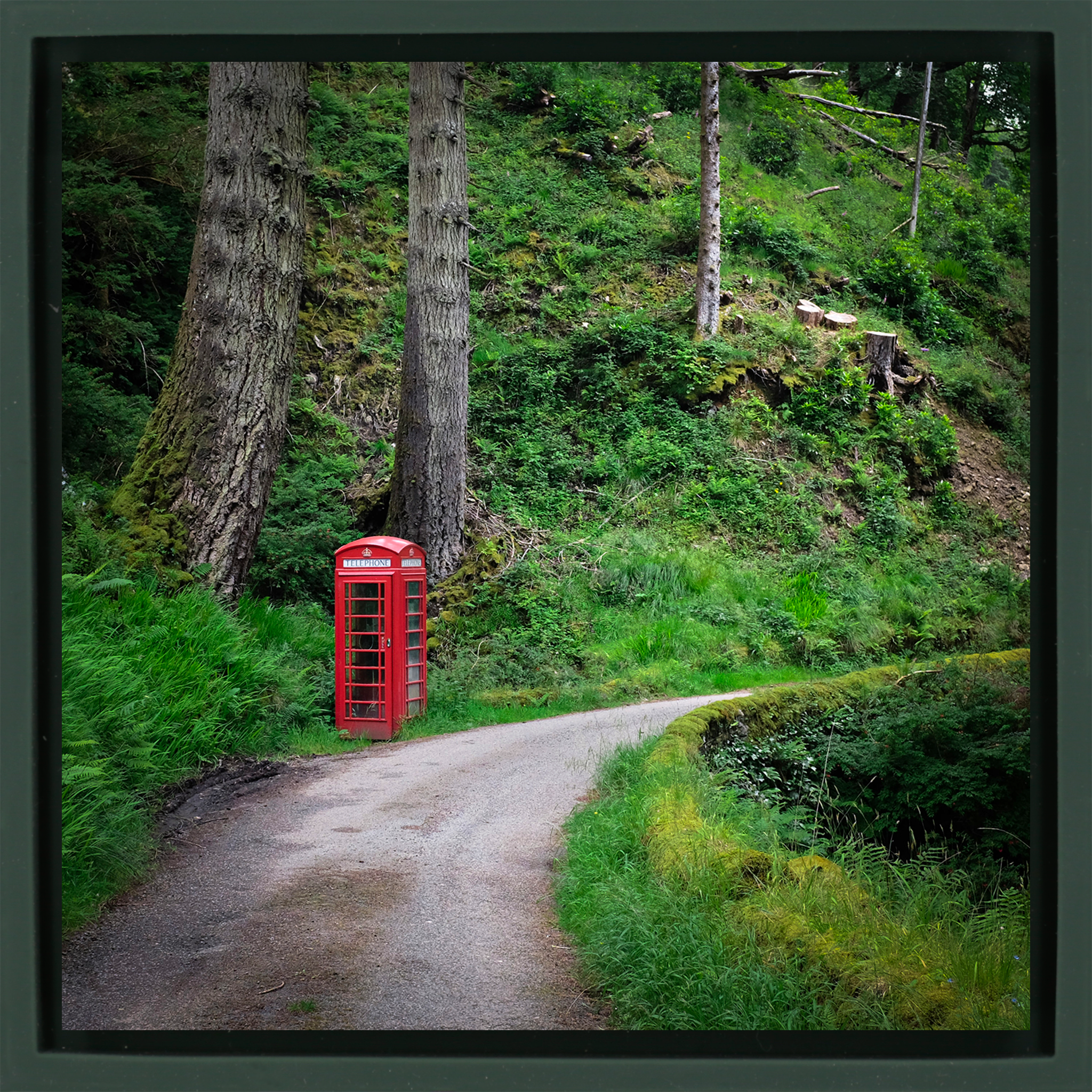 Unexpected Signals- Dark Green Wrapp