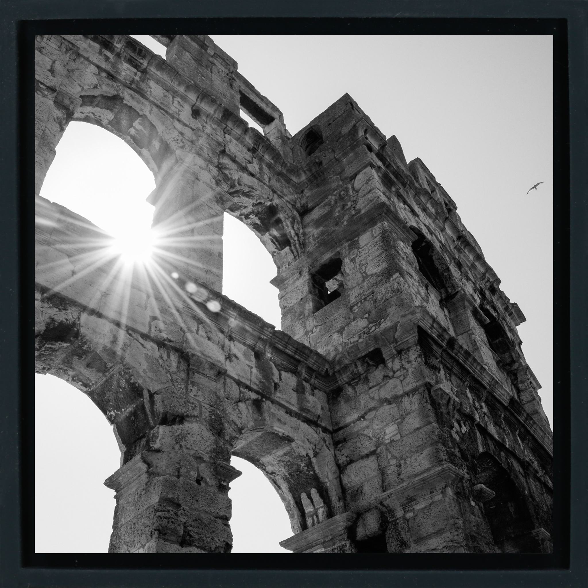 A Sunny Day- Black Wrapp