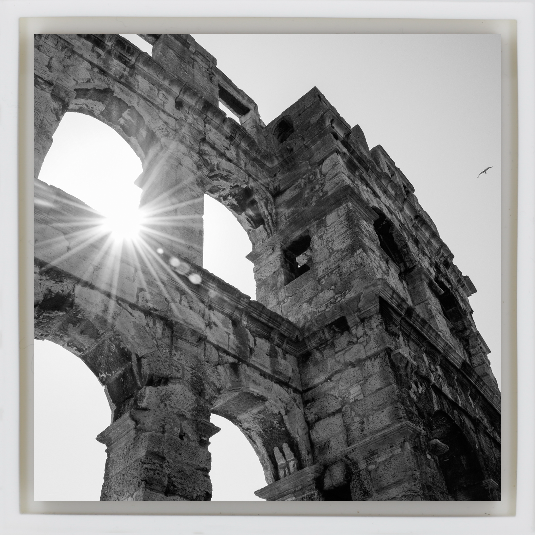 A Sunny Day- White Wrapp