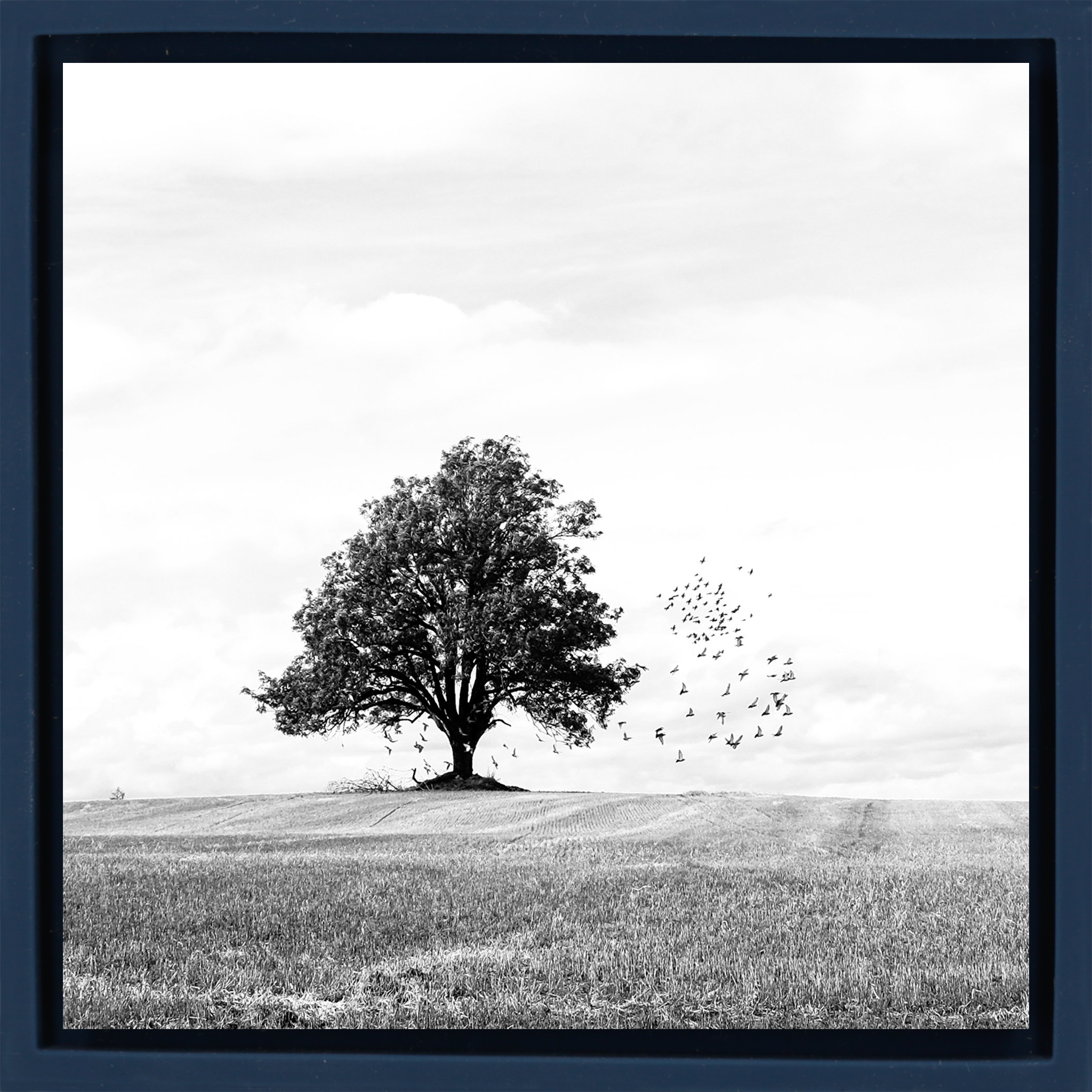 Autumn - Donkerblauwe Wrapp