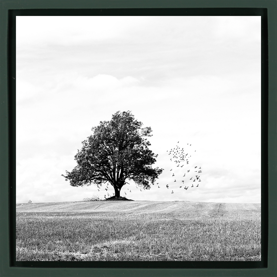 Autumn - Dark Green Wrapp