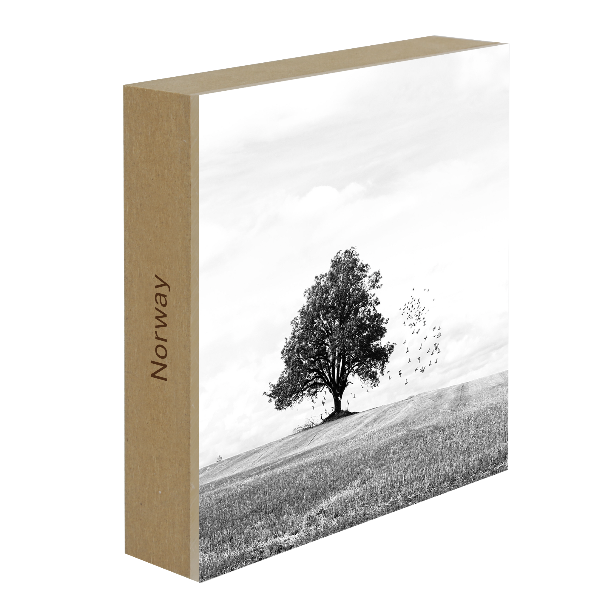 Autumn- Collection: Norway