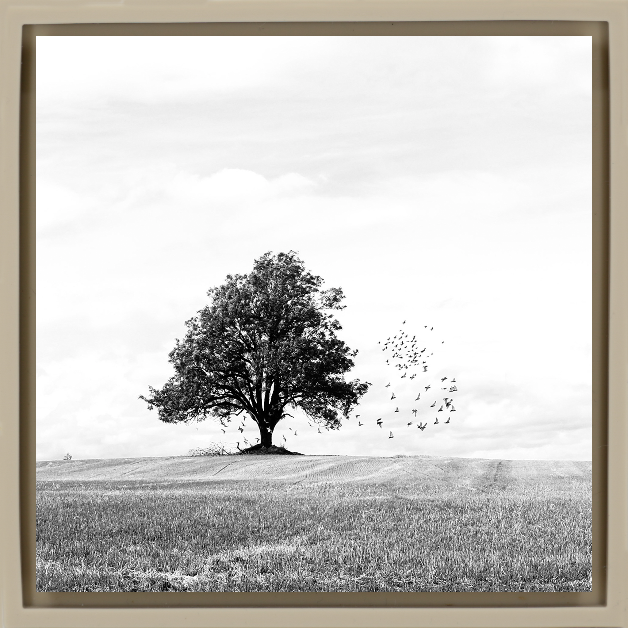 Autumn - Zandkleurige Wrapp