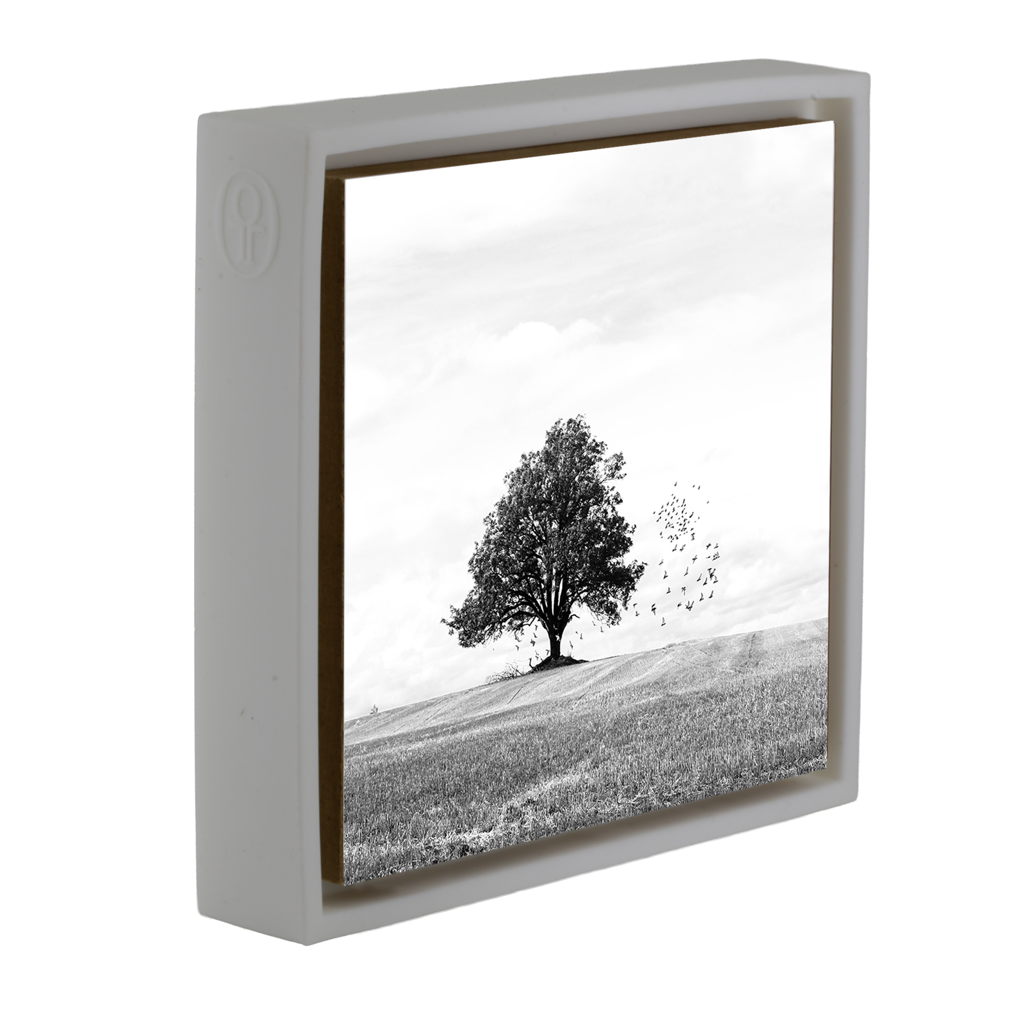 Autumn - Witte Wrapp