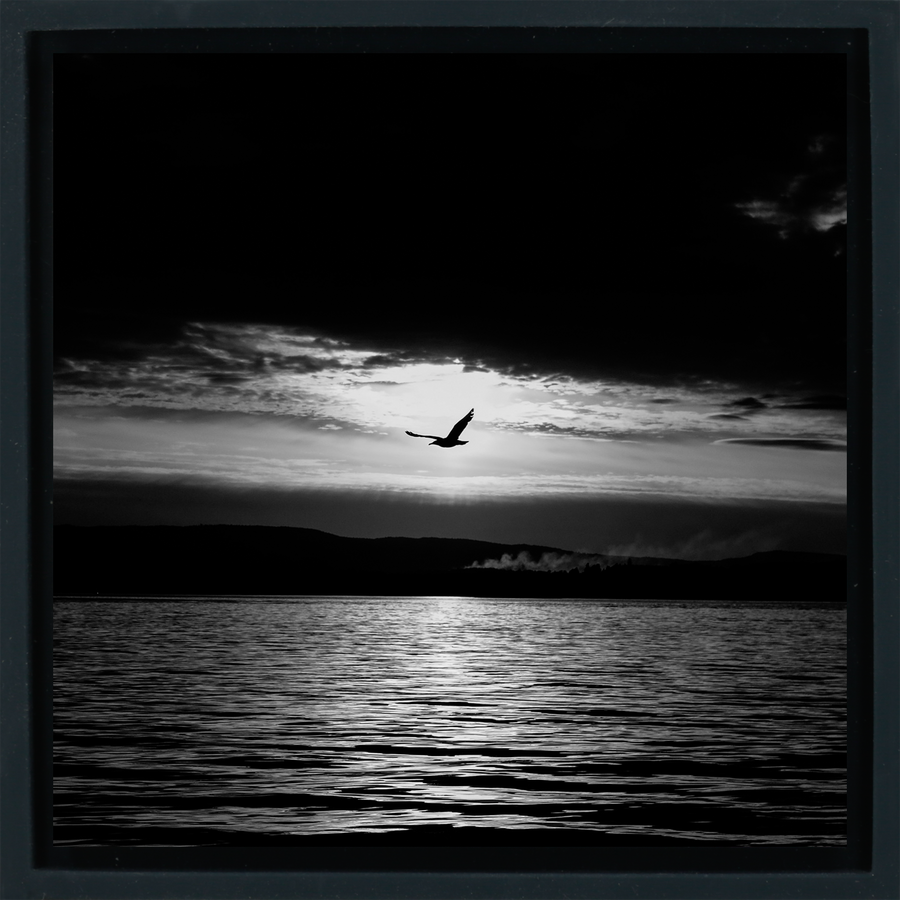 Spring Night - Black Wrapp