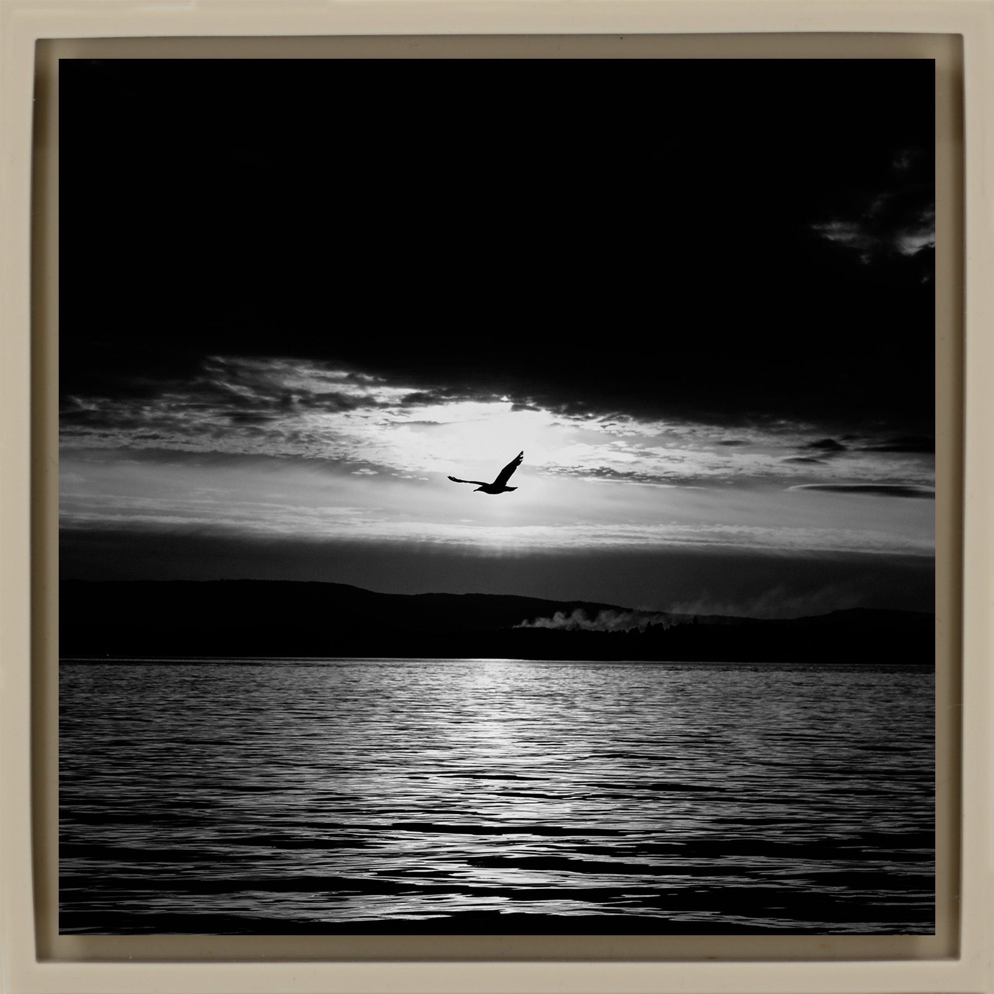 Frühlingsnacht – Sandhülle