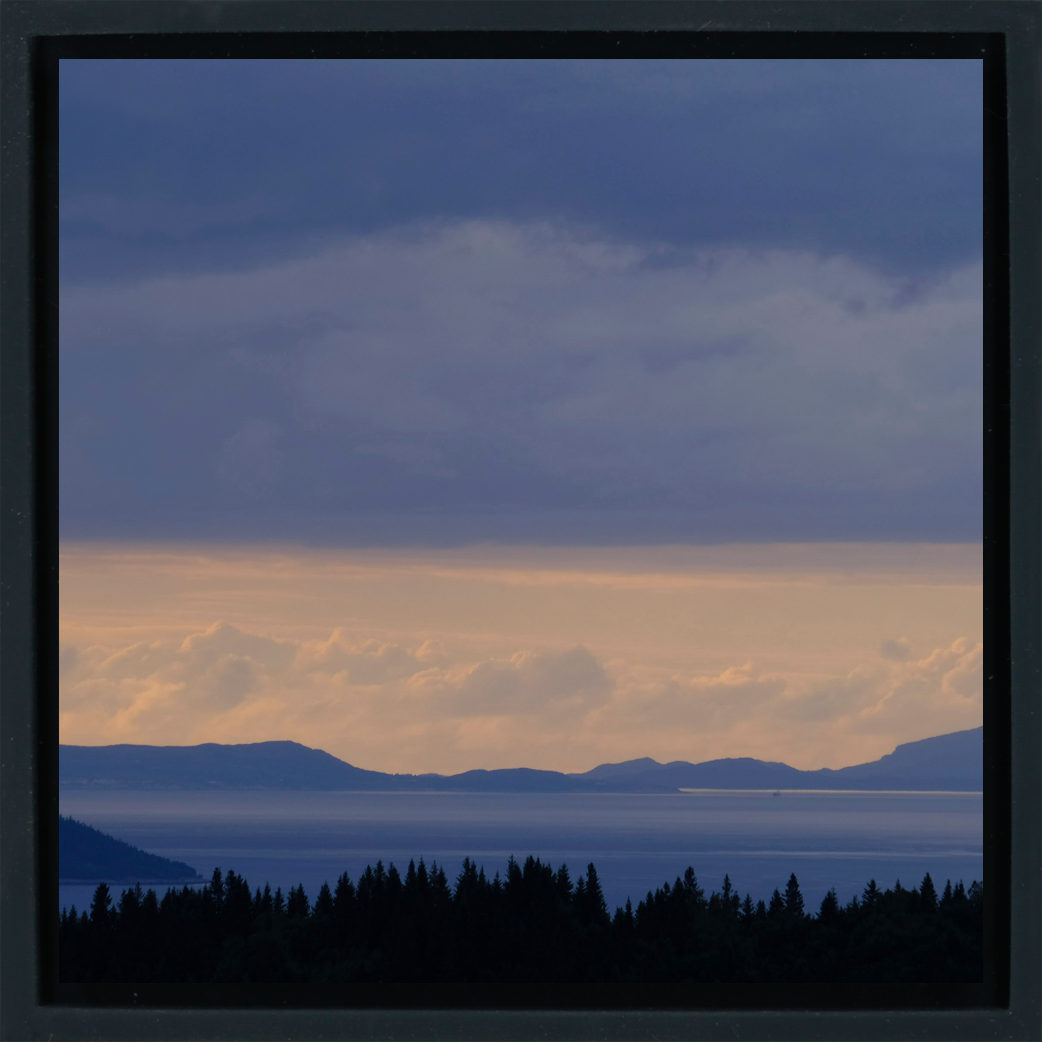Norwegian Blues- Black Wrapp