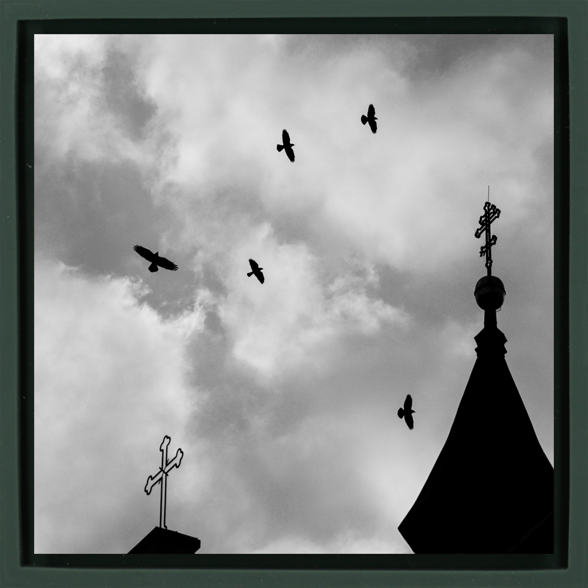 Crosses And Crows- Dark Green Wrapp