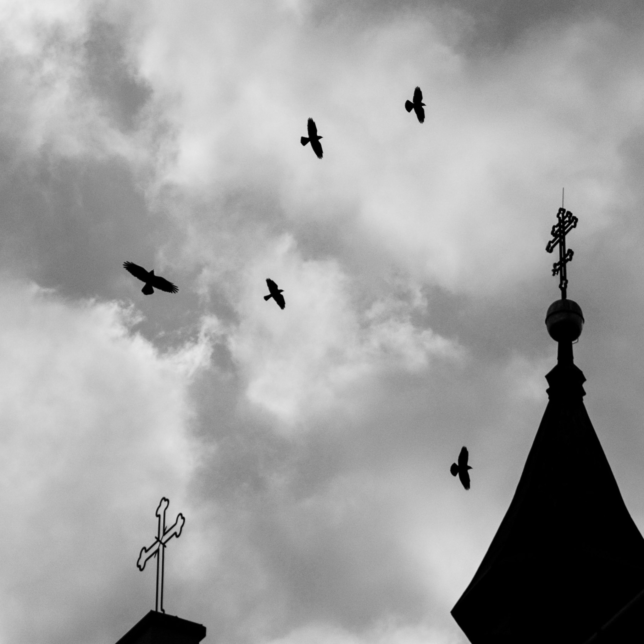 Crosses And Crows- Collection: Poland