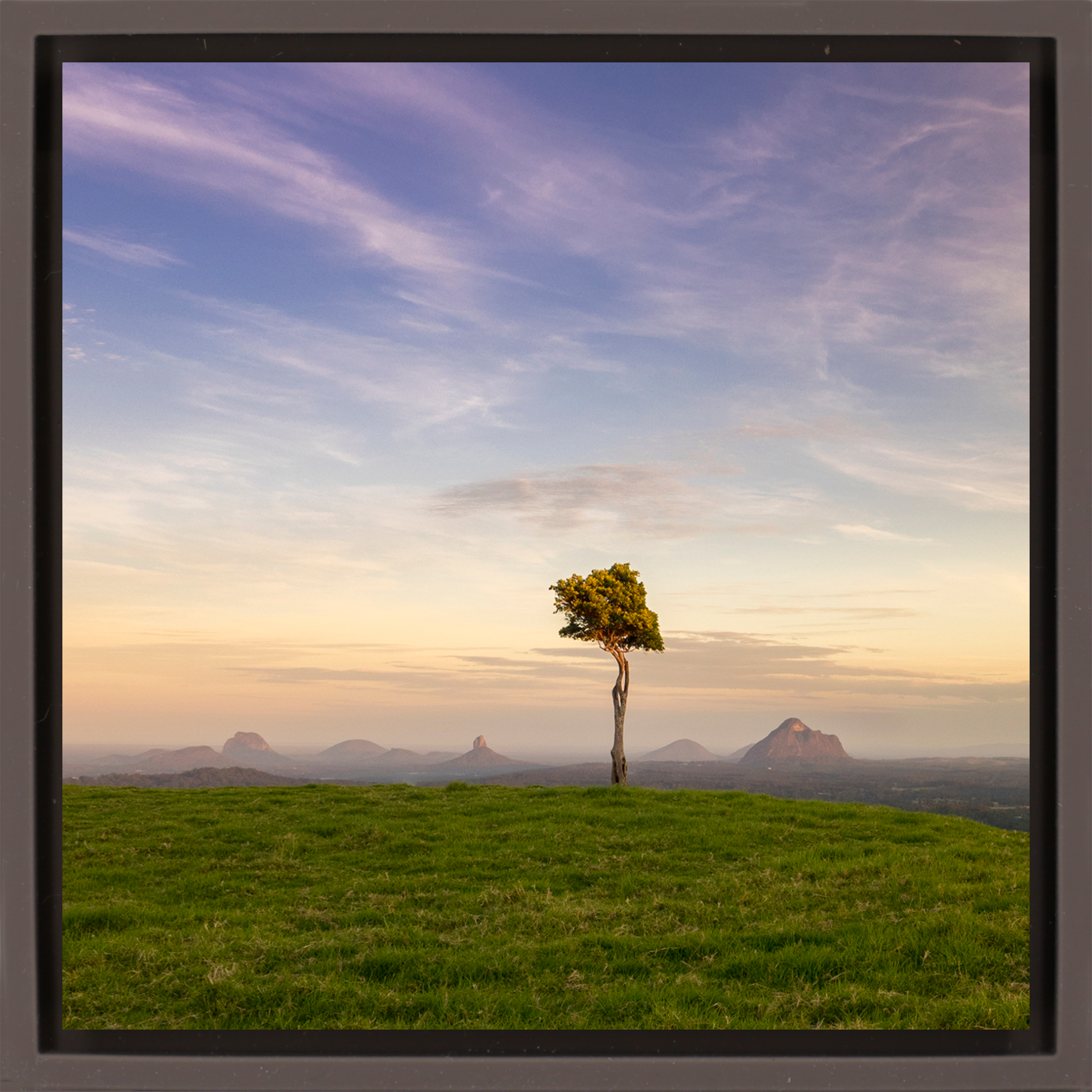 Ancient Landscape - Bruine Wrapp