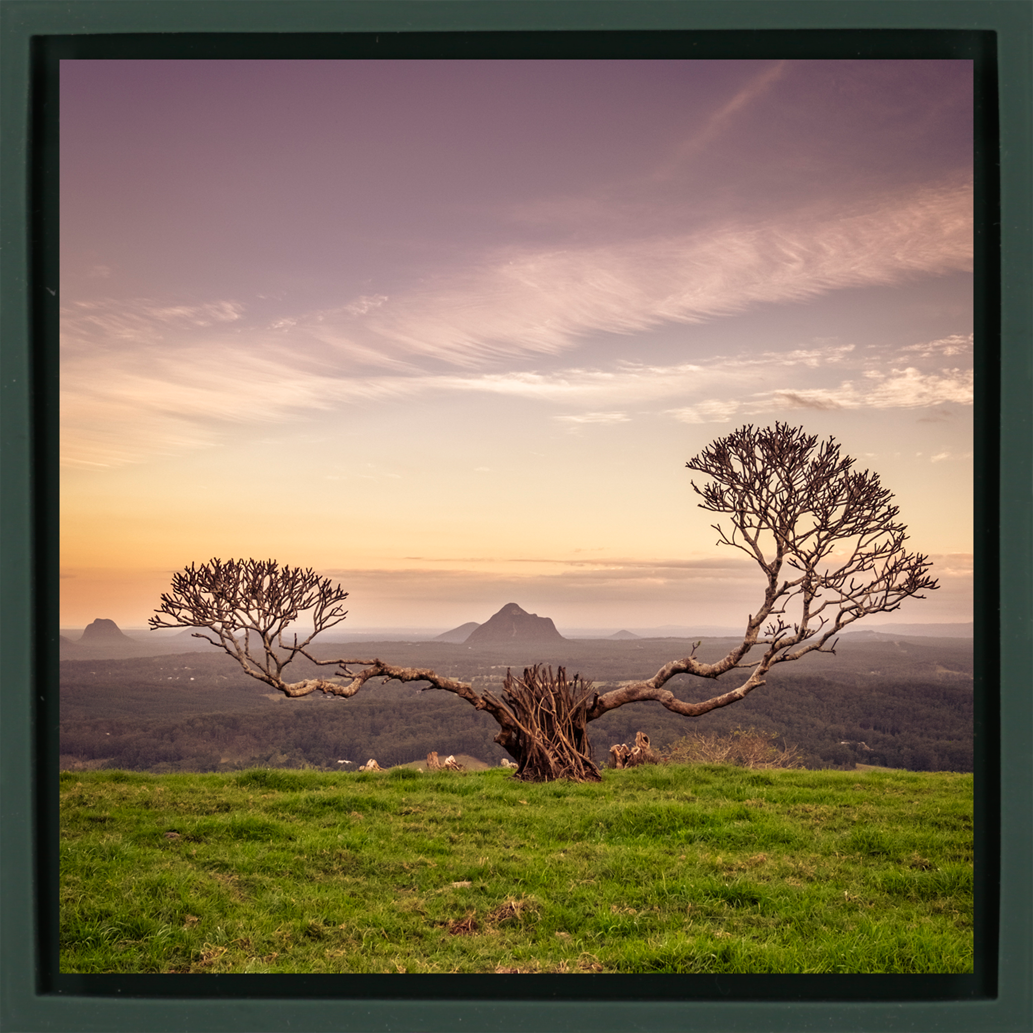 The Reach of Australia - Donkergroene Wrapp