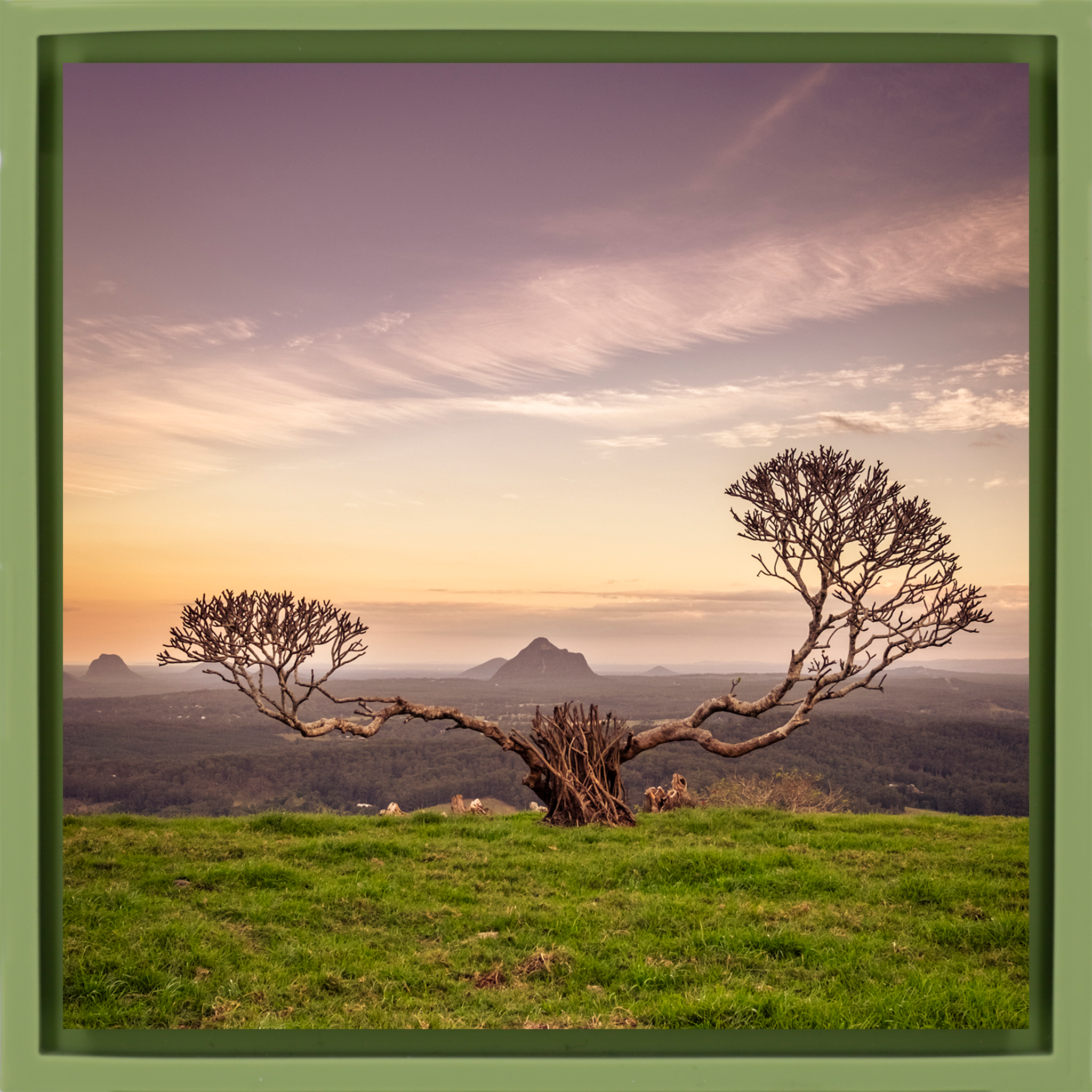 The Reach of Australia- Light Green Wrapp