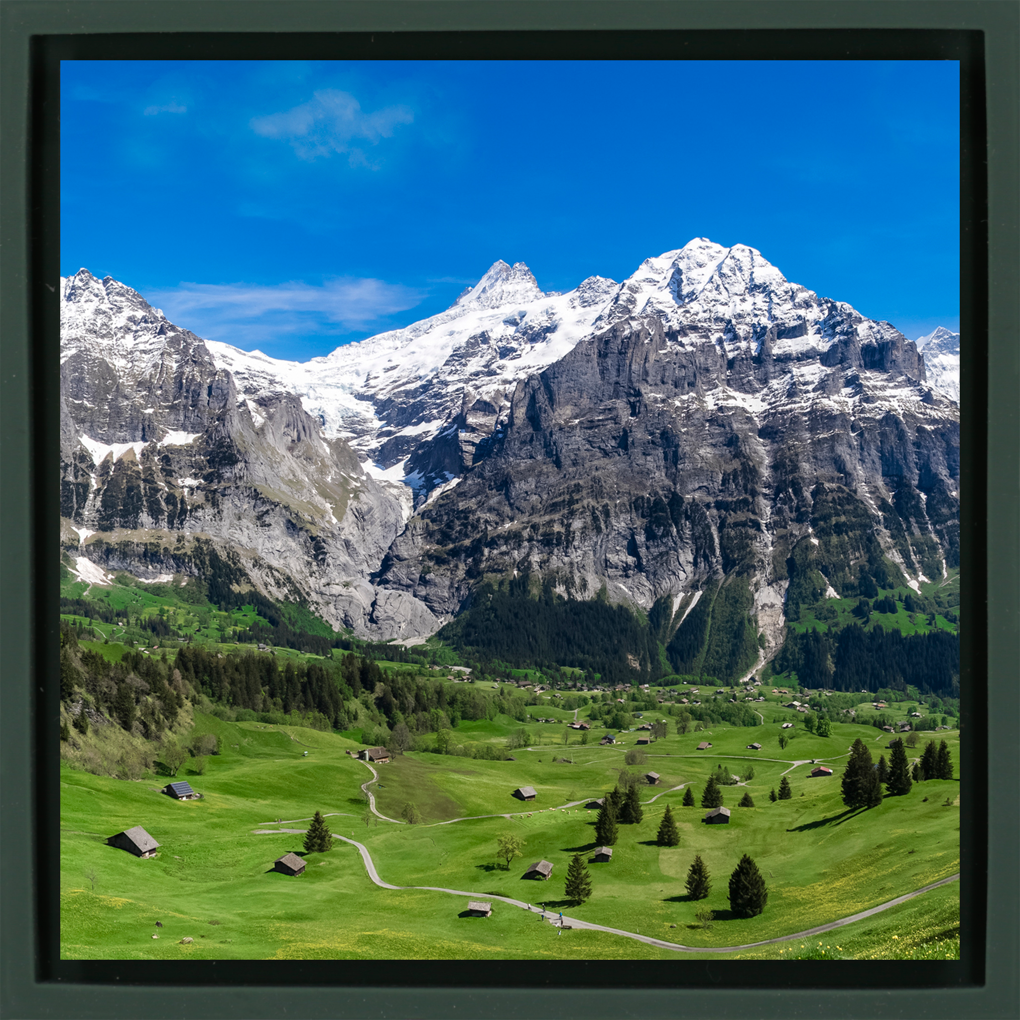Swiss Alps- Dark Green Wrapp