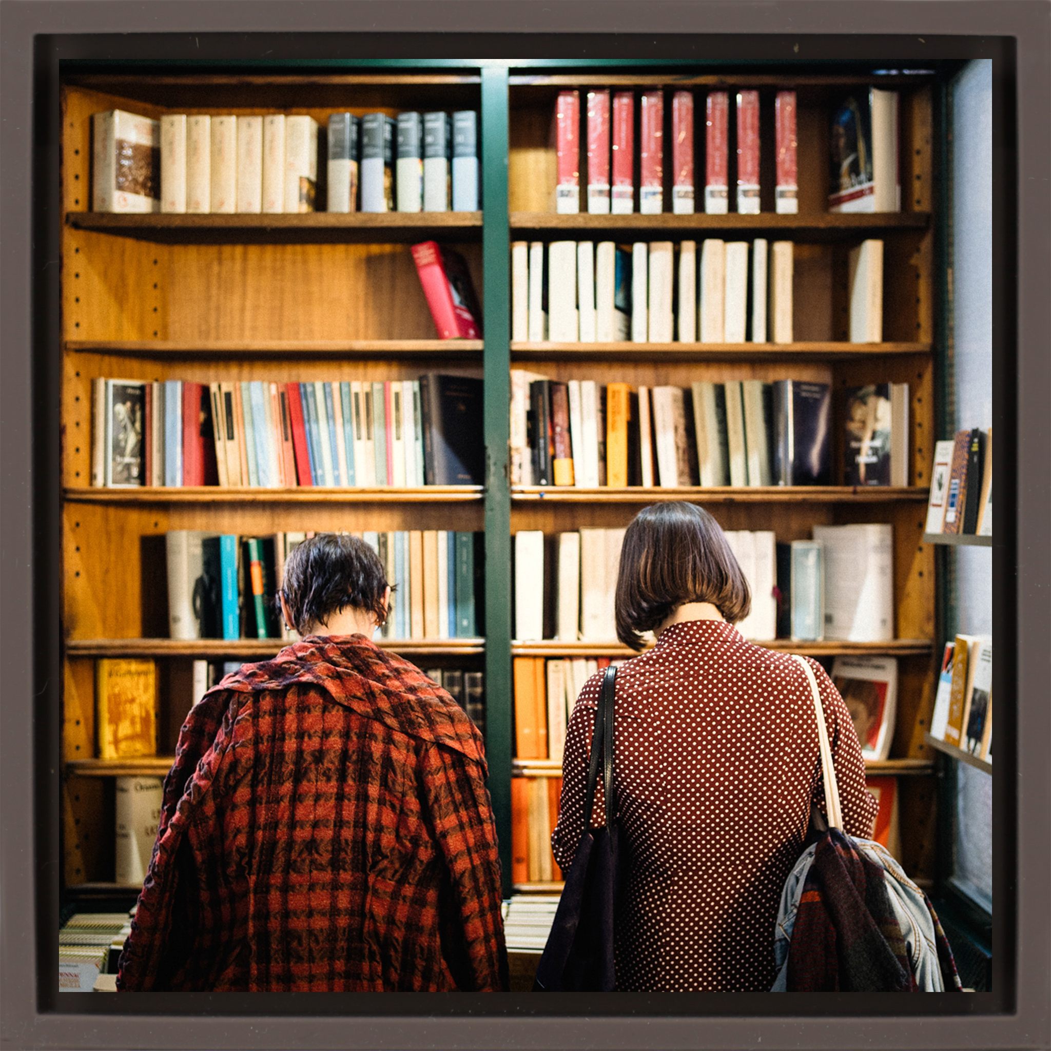 Browsing - Bruine Wrapp