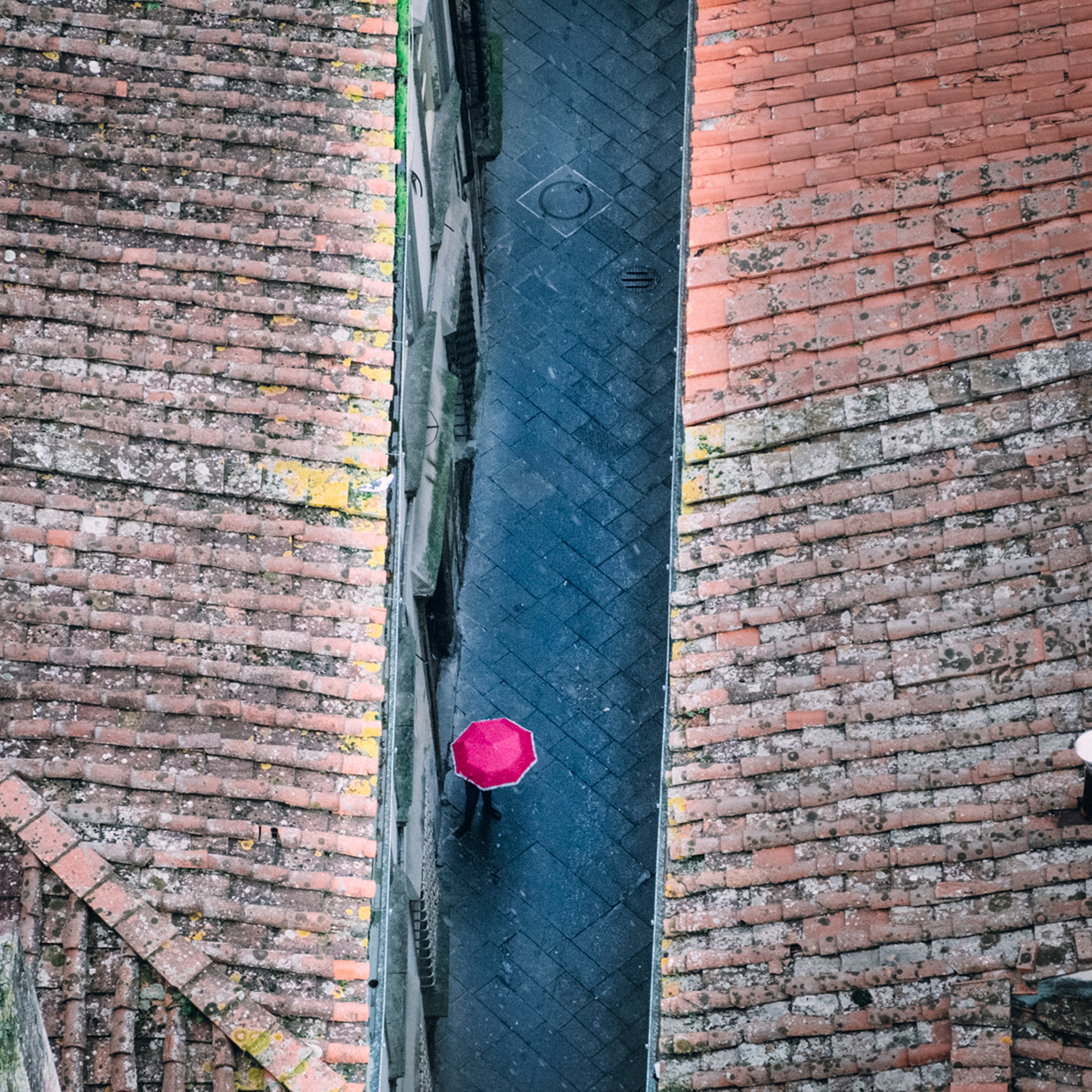 Rainy Day in Lucca- Collection: Italy