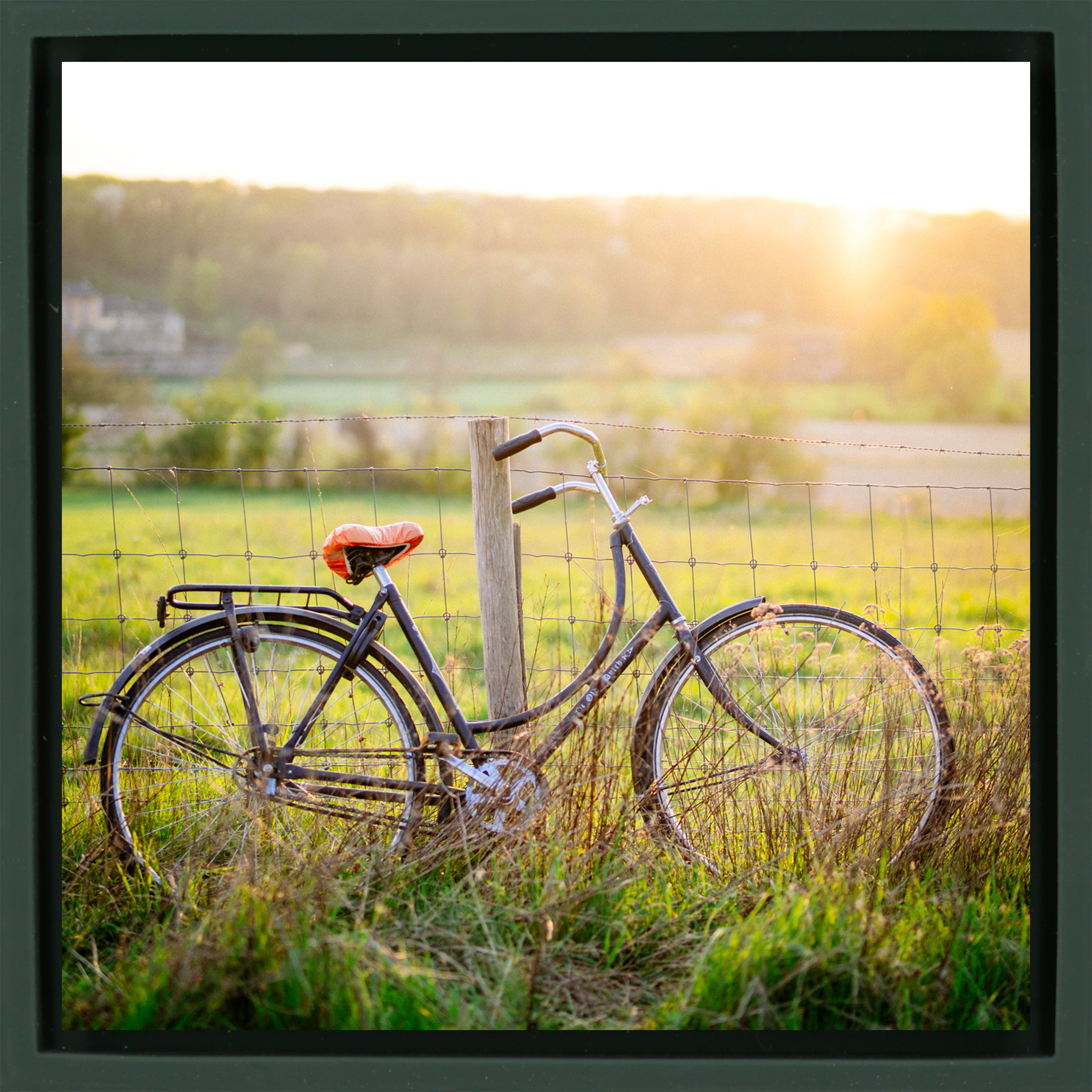 Cycle Country- Dark Green Wrapp