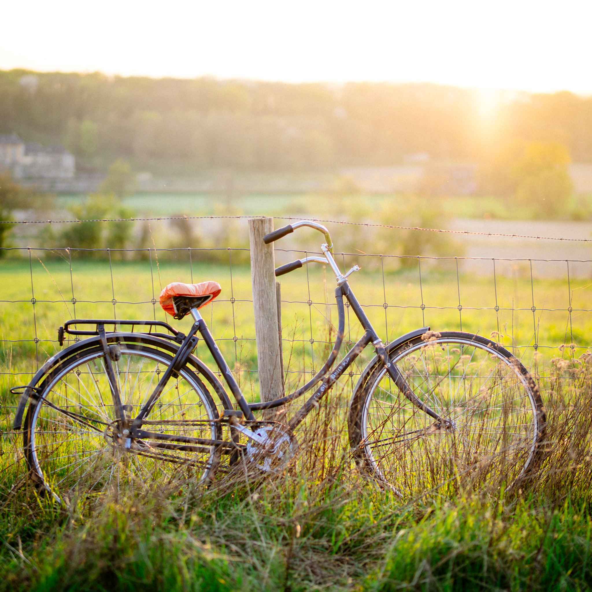 Cycle Country- Collection: The Netherlands