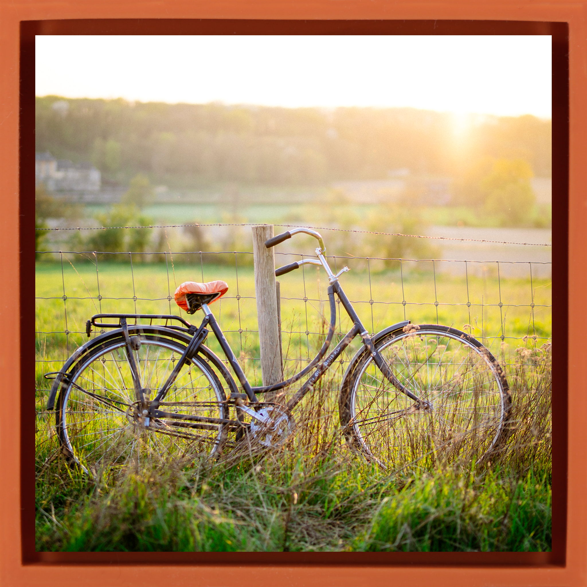 Cycle Country- Orange Wrapp