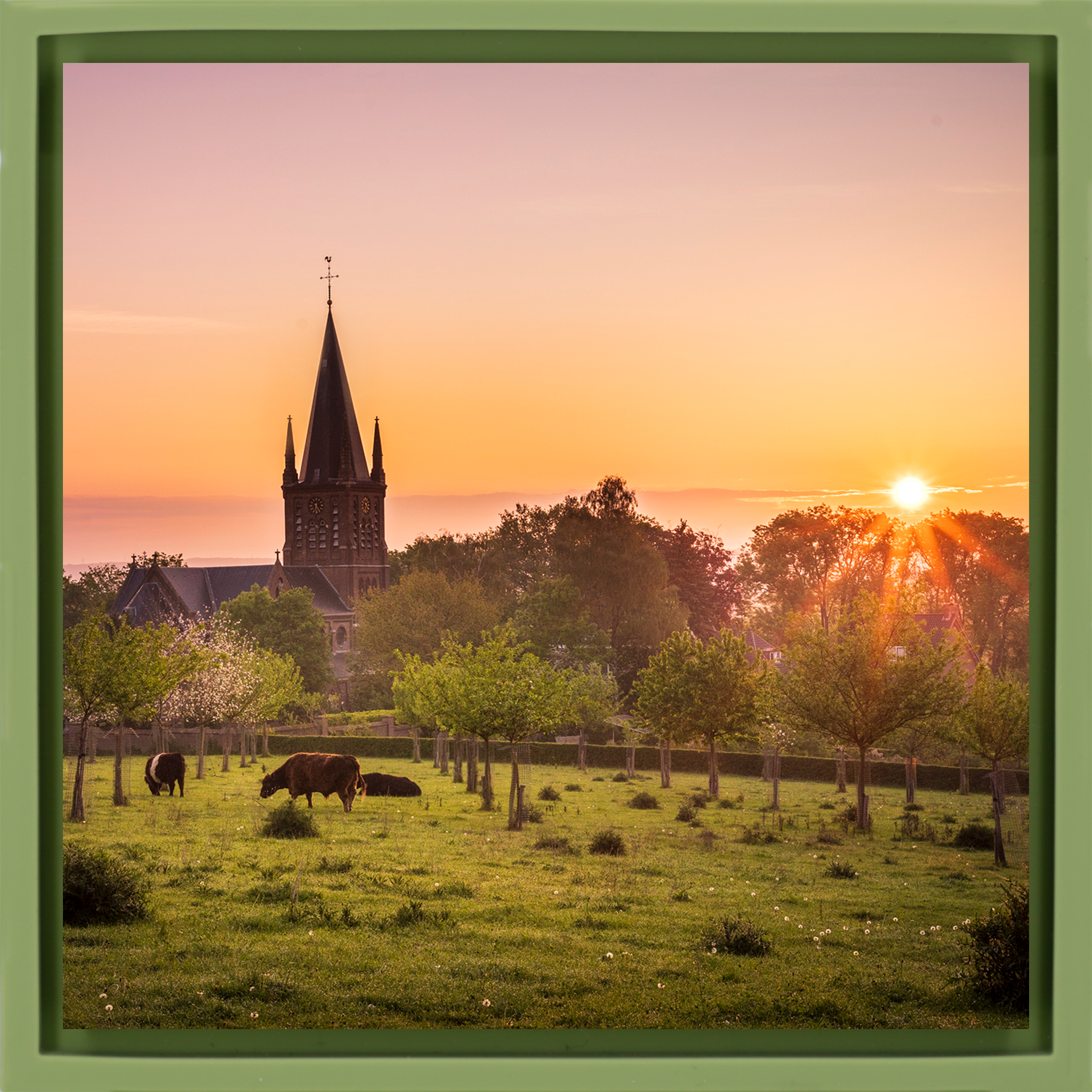 Limburg Province- Light Green Wrapp