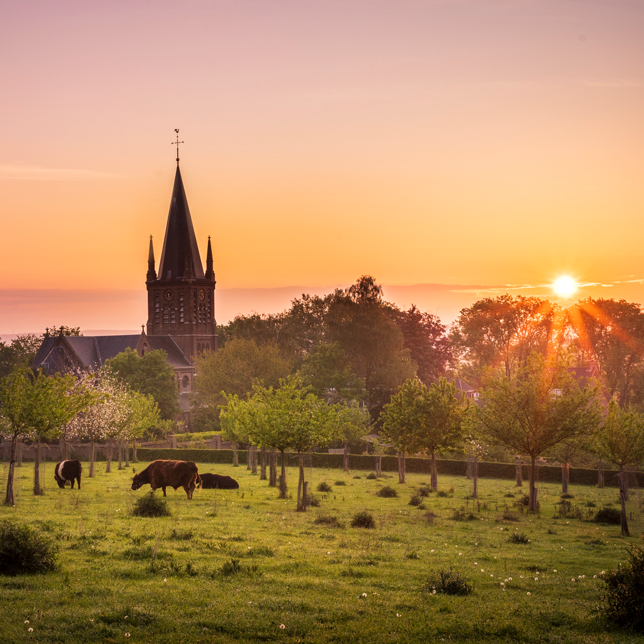 Limburg Province- Collection: The Netherlands