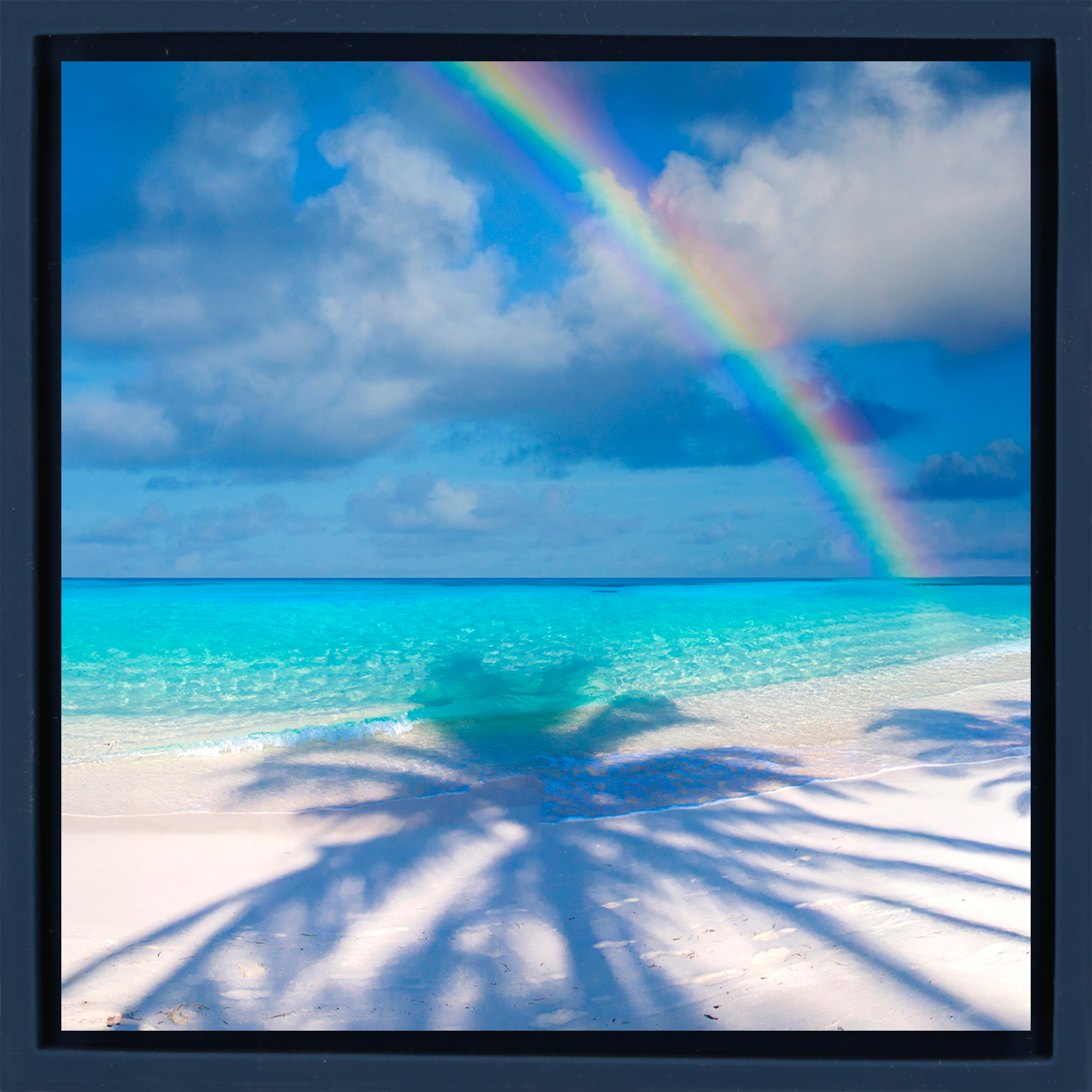 Palm Shadow Bow- Dark Blue Wrapp