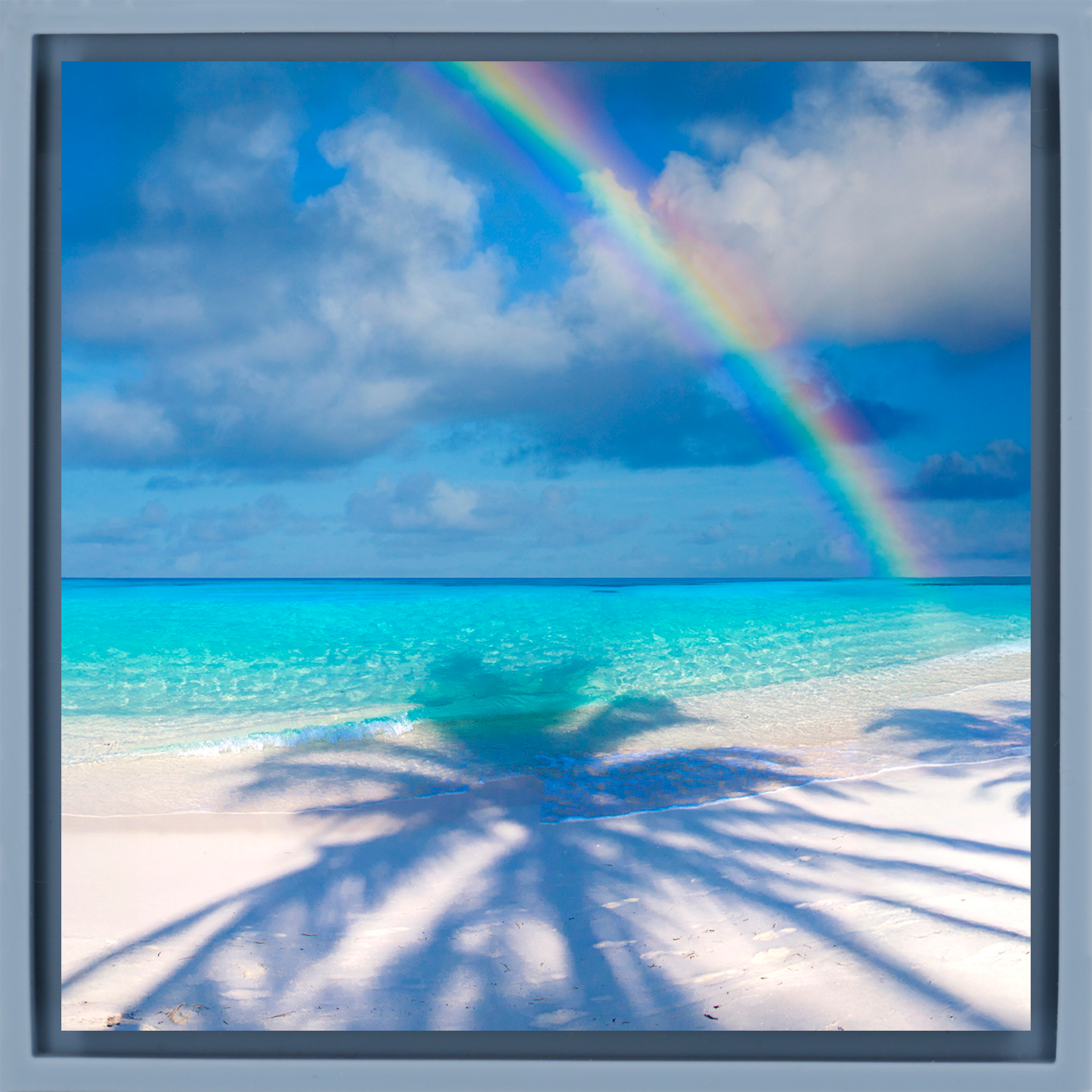 Palm Shadow Bow- Light Blue Wrapp