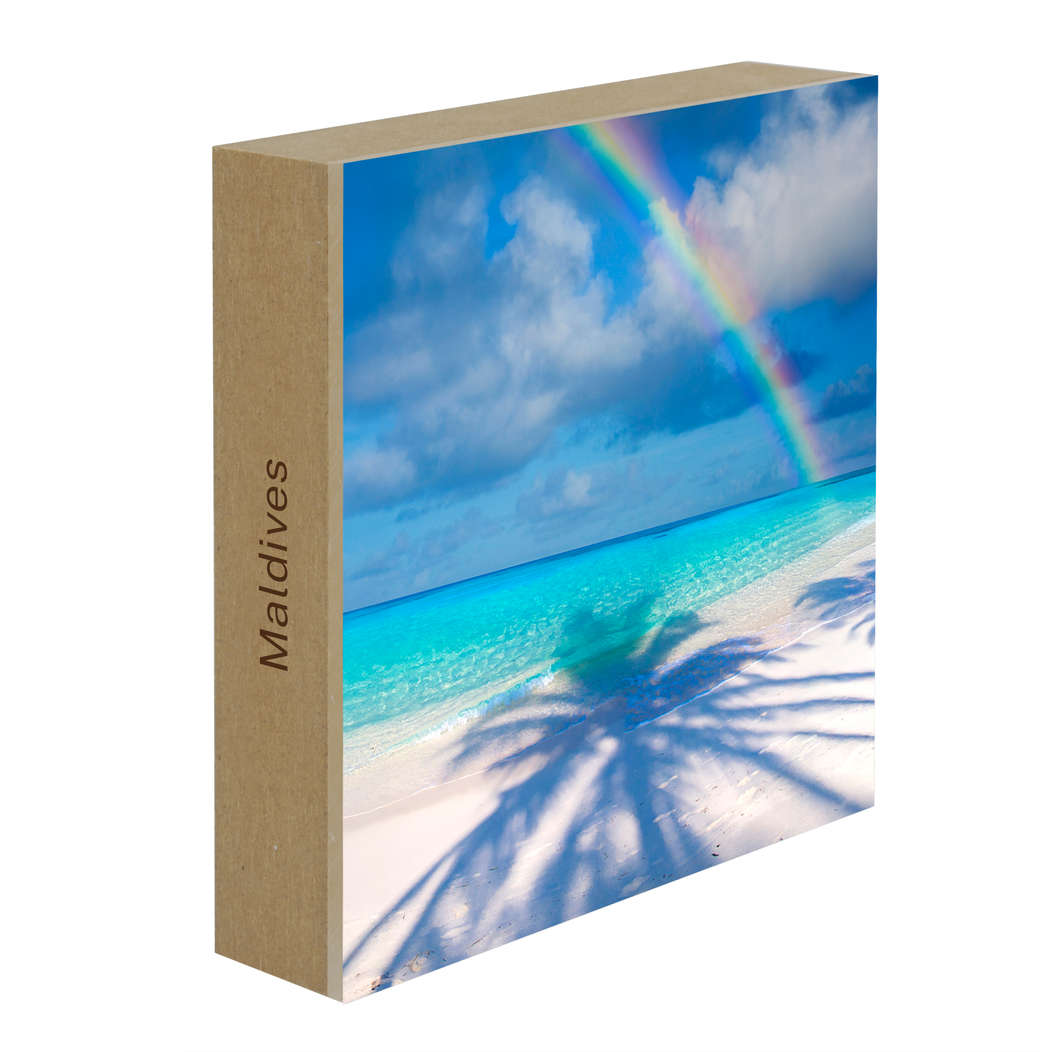 Palm Shadow Bow- Collection: Maldives