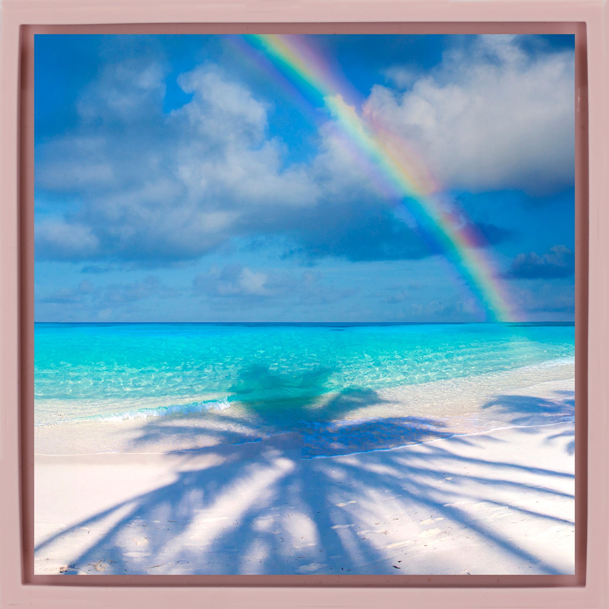 Palm Shadow Bow- Pink Wrapp