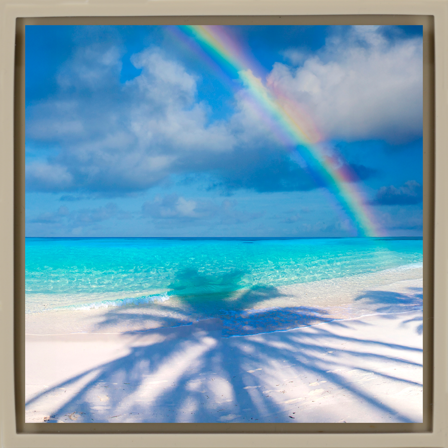 Palm Shadow Bow - Sand Wrapp