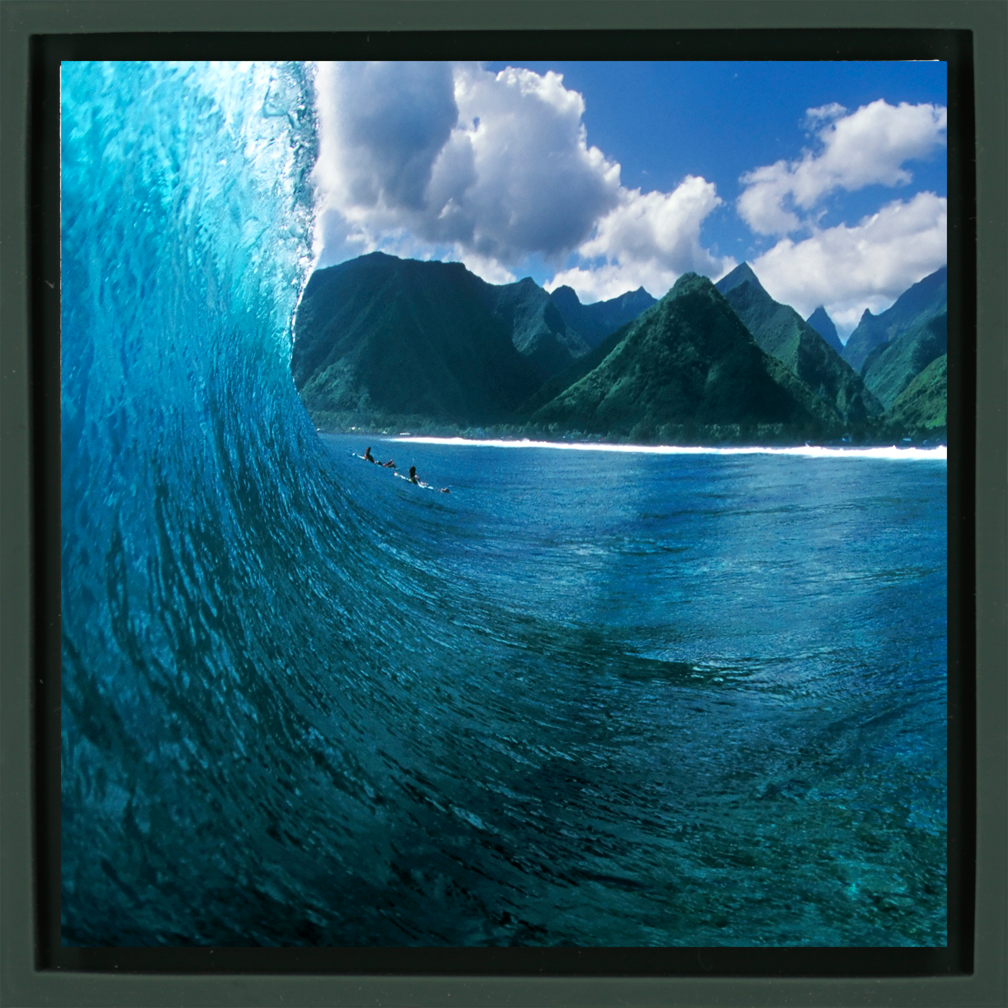 Exotic Peak- Dark Green Wrapp