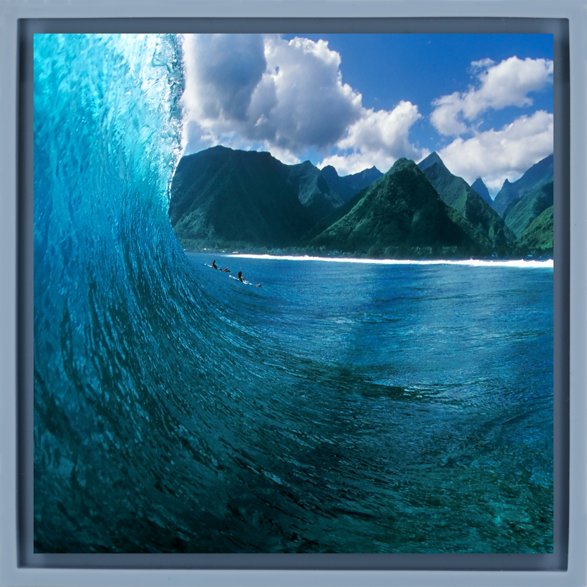 Exotic Peak- Light Blue Wrapp