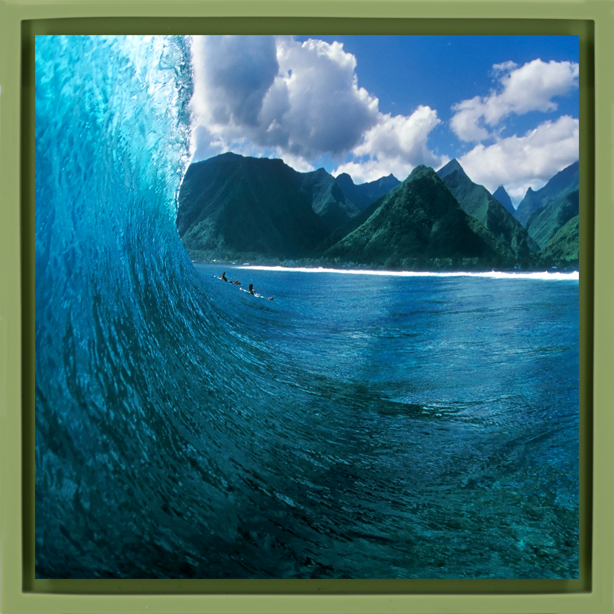 Exotic Peak- Light Green Wrapp