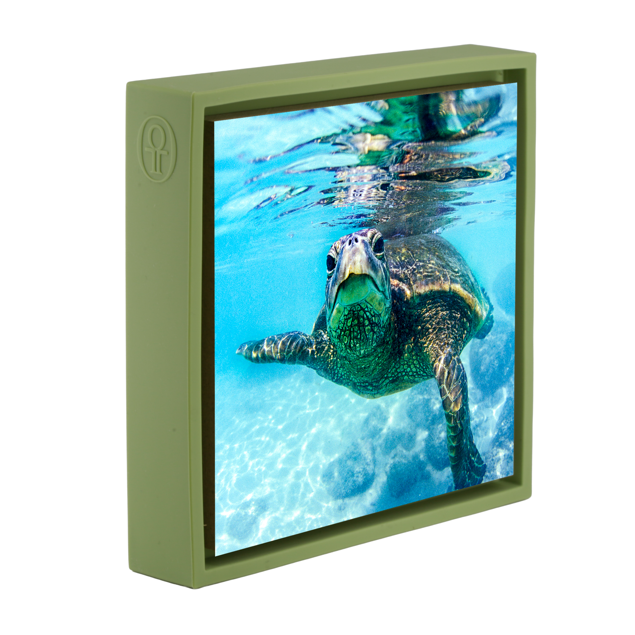 Friendly Turtle- Light Green Wrapp