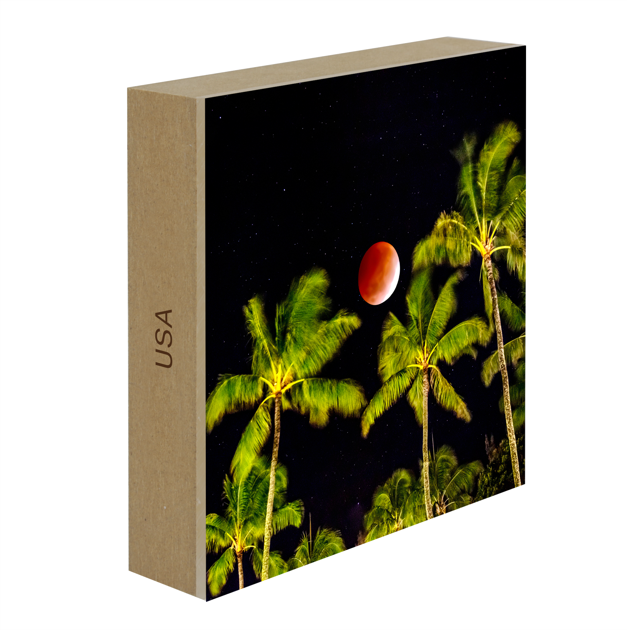 Lunar Eclipse- Collection: USA